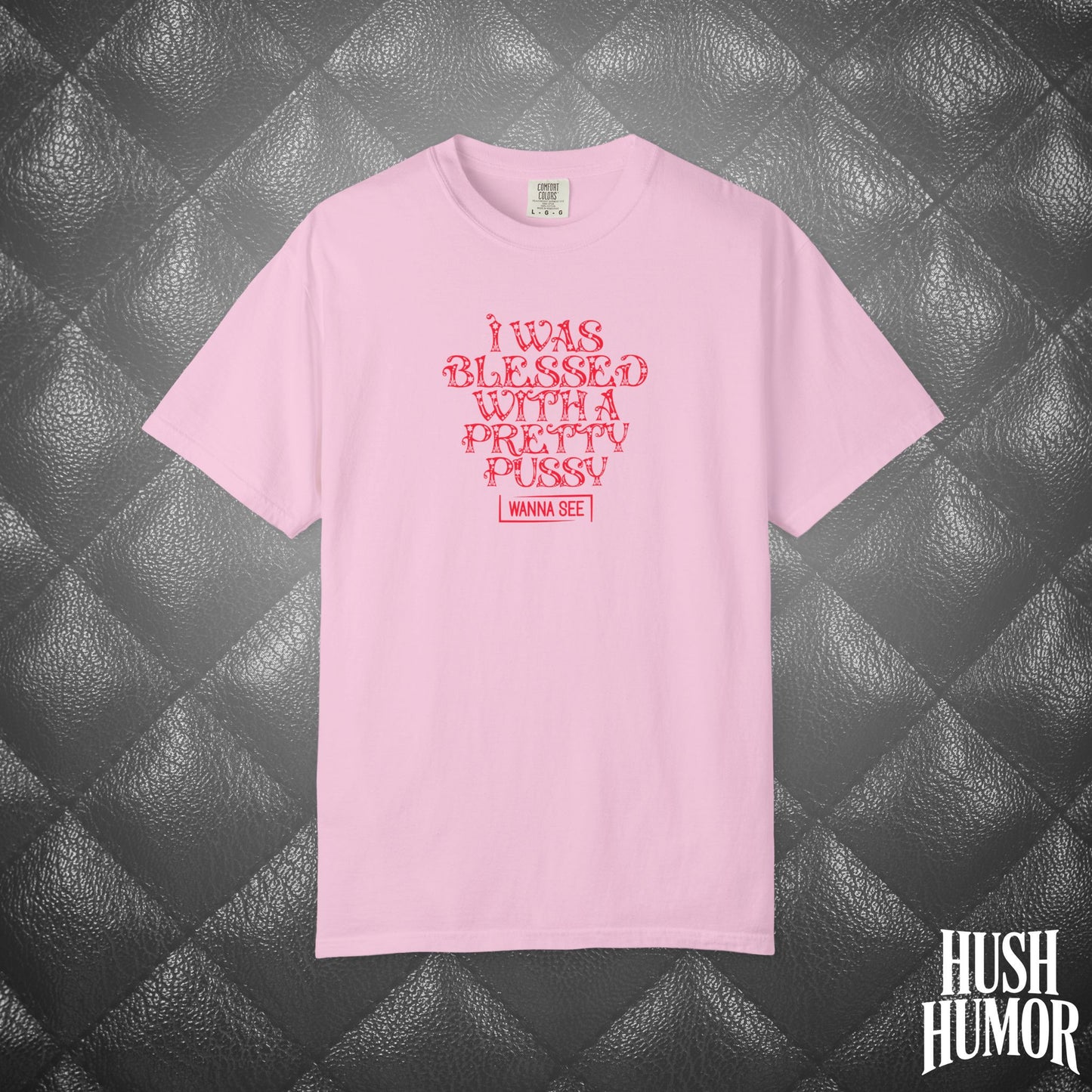 I Was Blessed with a Pretty Psssy Naughty T-Shirt – Girl Power FEMdom Shirt, Dirty MILF Gift, Hot Mom Graphic Tee, NSFW Summer Party Shirt