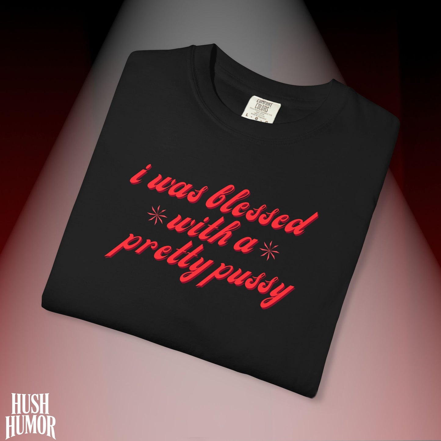 I Was Blessed With a Pretty Psssy T-Shirt Dirty MILF BDSM Dom/Sub Graphic Shirt
