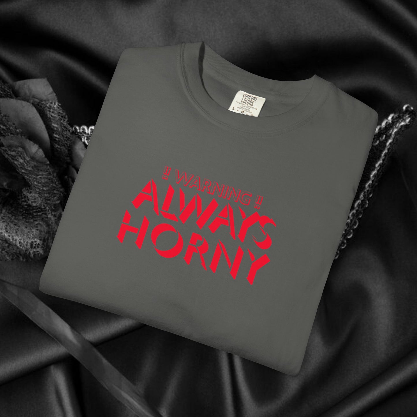 Naughty Shirt Women's Tshirt, Sexy Saying Tee, Inappropriate Ladies Comfort Colors, Funny Mature Apparel, Offensive Wife Gift, Horny Joke