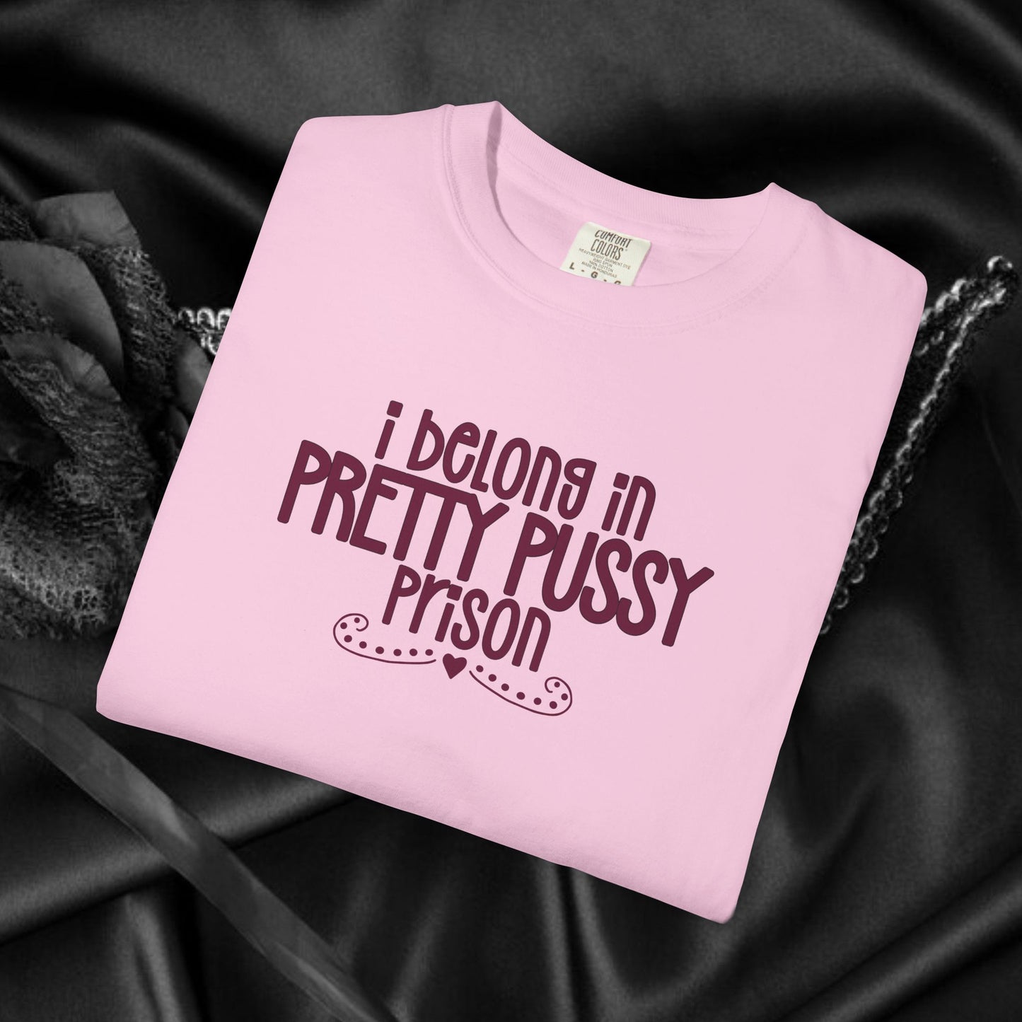 Pretty P*ssy Prison, Funny Adult T-shirt, Offensive Ladies Shirt, Unisex