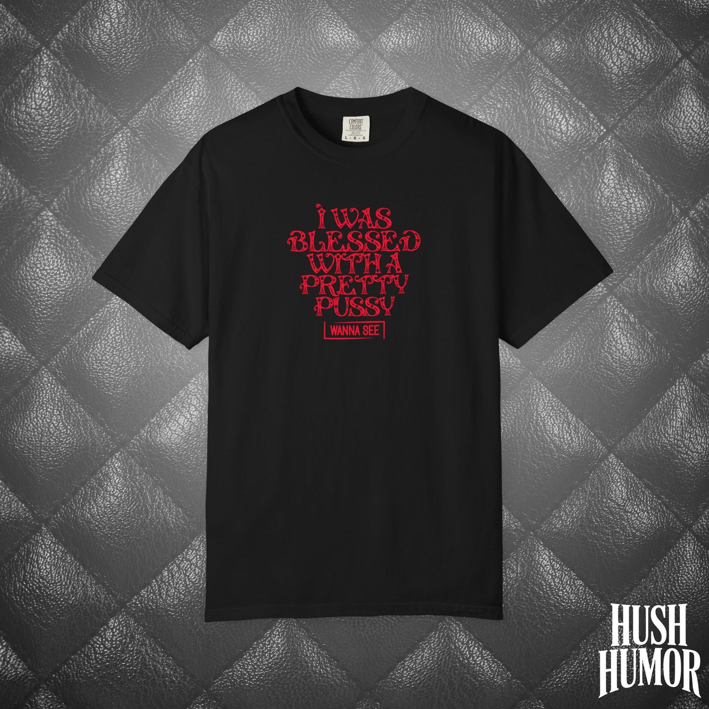 I Was Blessed with a Pretty Psssy Naughty T-Shirt – Girl Power FEMdom Shirt, Dirty MILF Gift, Hot Mom Graphic Tee, NSFW Summer Party Shirt