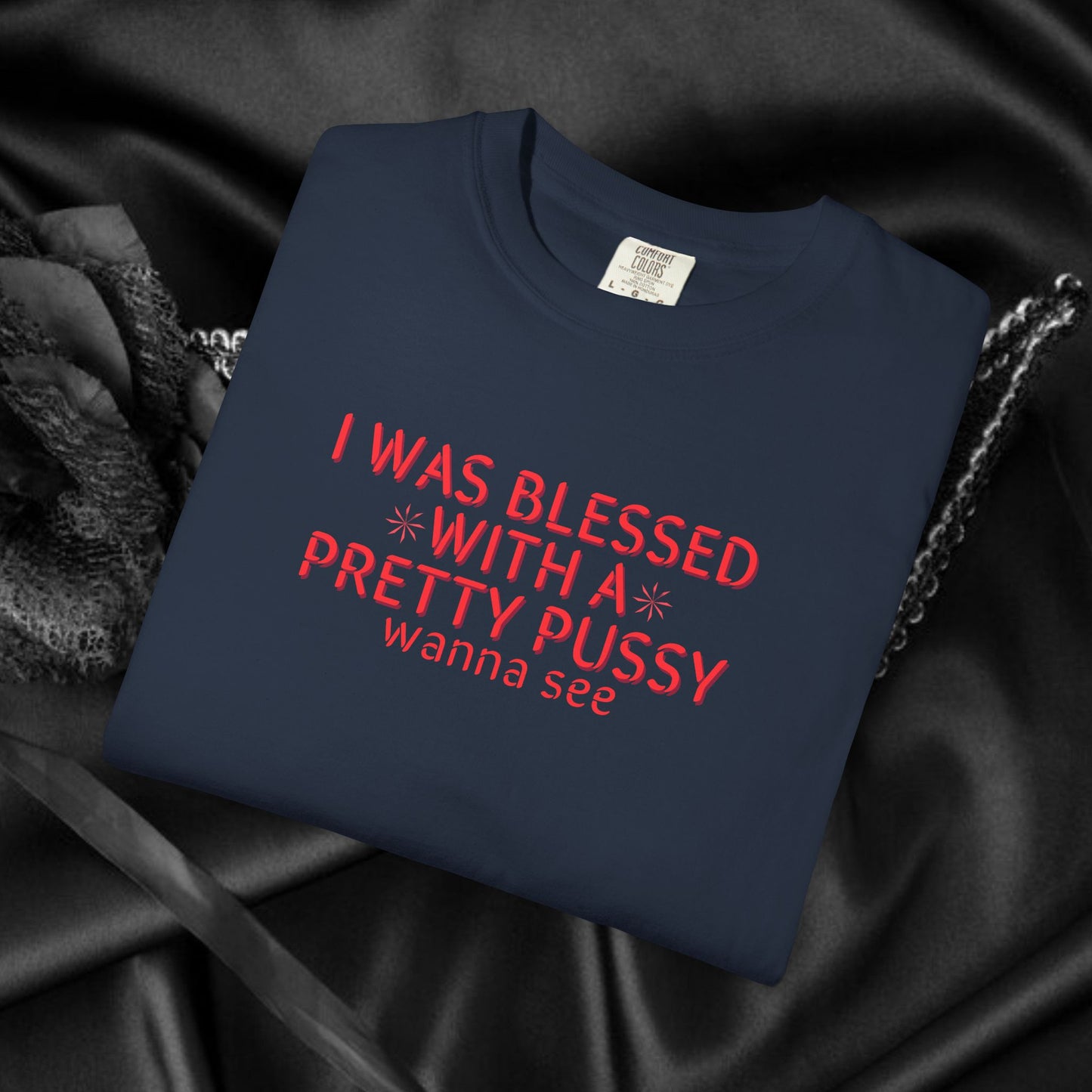 I Was Blessed With a Pretty P*ssy T-Shirt – Naughty Girl P*ssy Power MILF Shirt, Adult Humor Party Tee