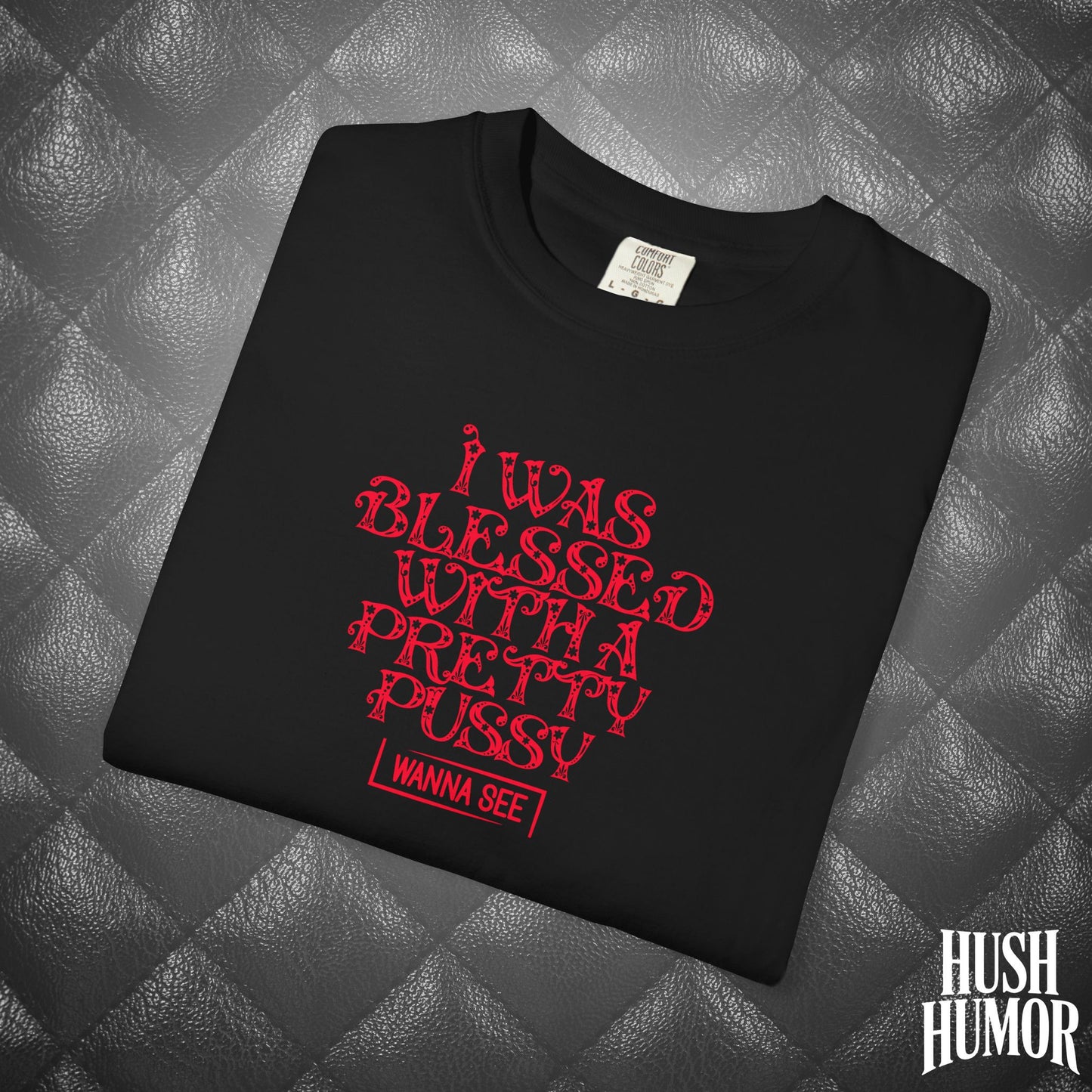 I Was Blessed with a Pretty Psssy Naughty T-Shirt – Girl Power FEMdom Shirt, Dirty MILF Gift, Hot Mom Graphic Tee, NSFW Summer Party Shirt