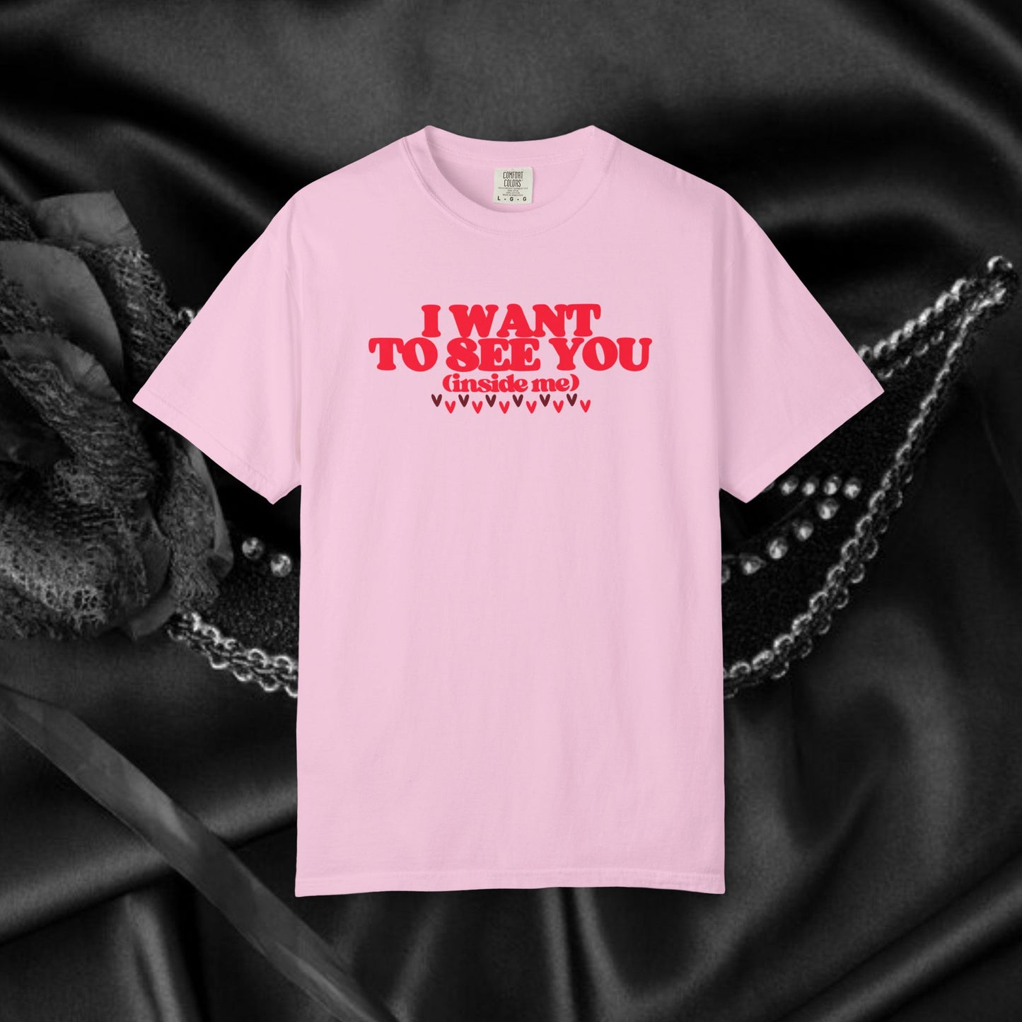 I Want to See You Inside Me, dirty apparel for naughty girls, Funny Saying tshirt NSFW Apparel