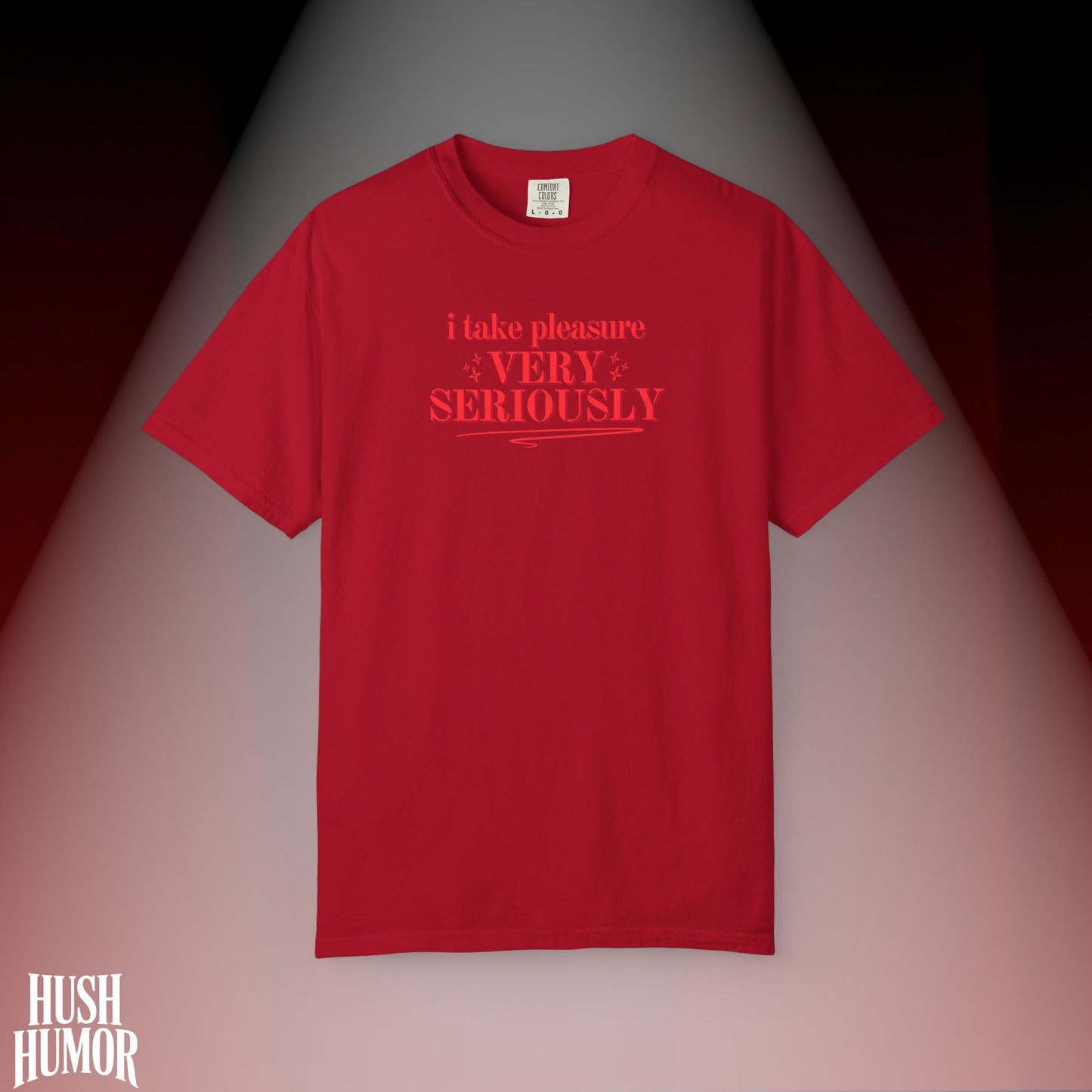 FEMdom T-Shirt | Naughty BDSM Lifestyle Tee | Sexy NSFW Pleasure Shirt | Offensive Shocking Gift for Hot Wife | Kinky Summer Party Top