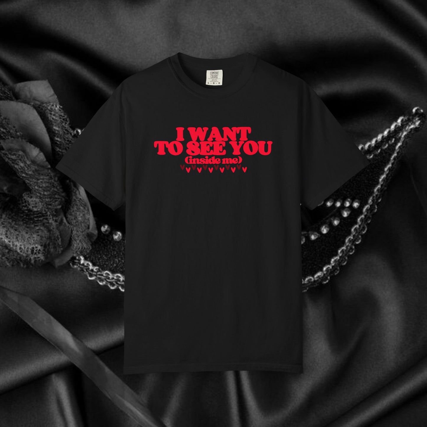 I Want to See You Inside Me, dirty apparel for naughty girls, Funny Saying tshirt NSFW Apparel