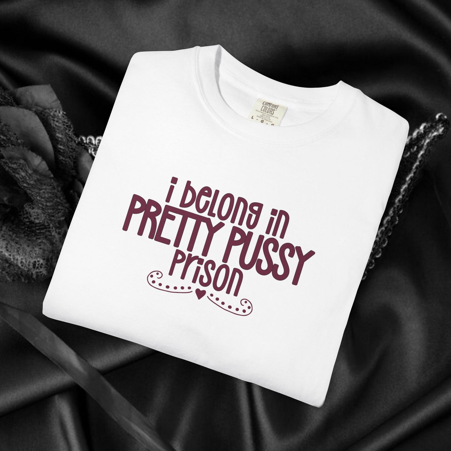 Pretty P*ssy Prison, Funny Adult T-shirt, Offensive Ladies Shirt, Unisex