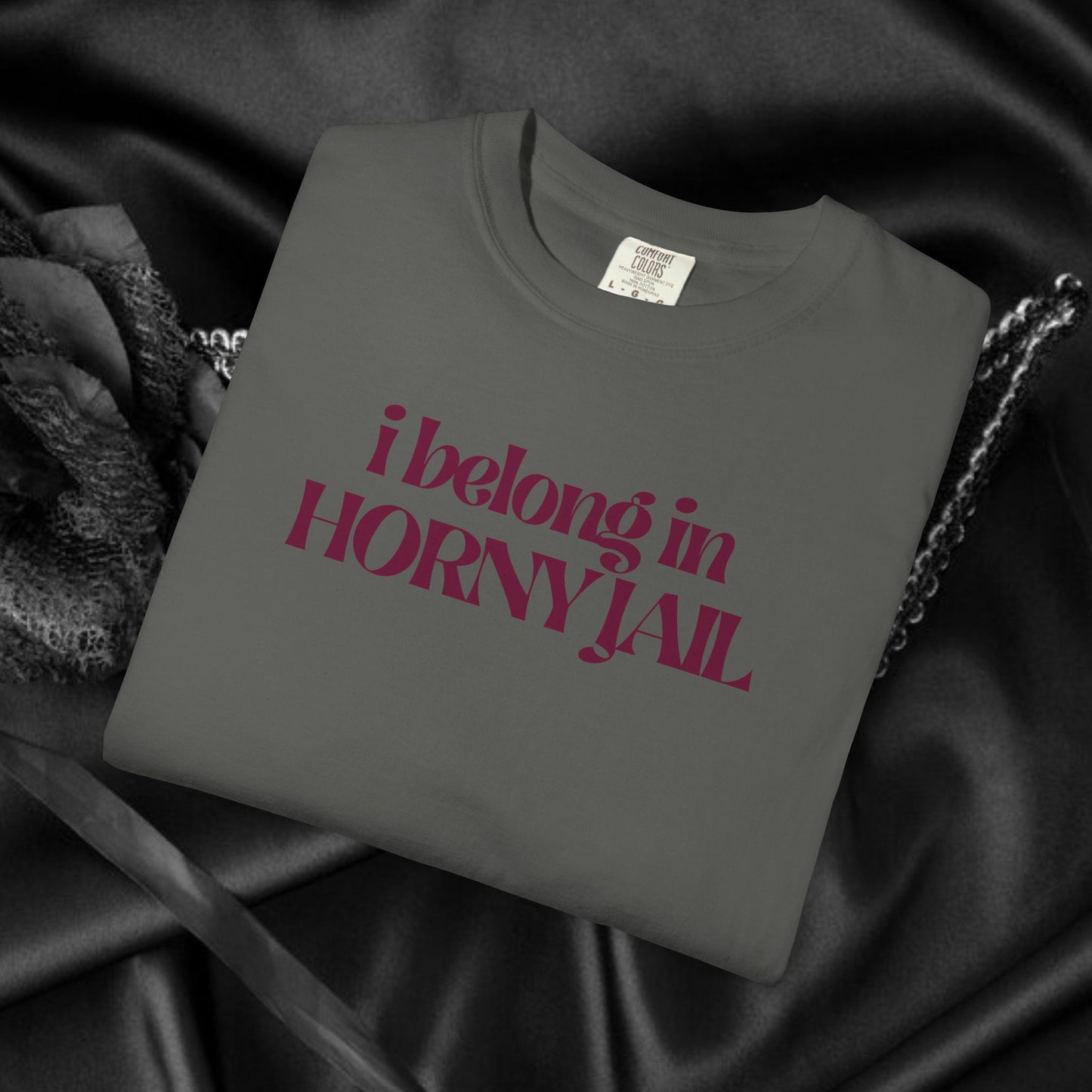 I Belong in Horny Jail, Fun Adult Gift, Inappropriate Offensive Ladies tshirt