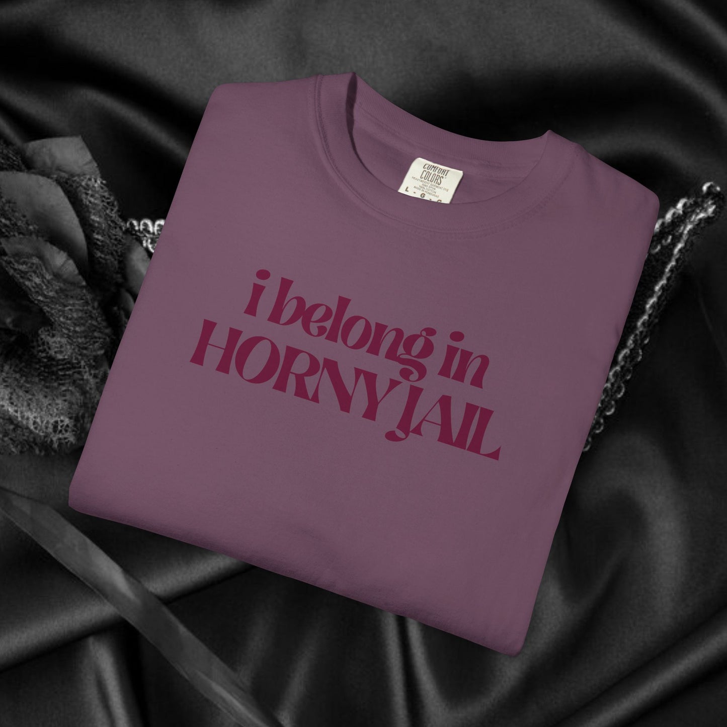 I Belong in Horny Jail, Fun Adult Gift, Inappropriate Offensive Ladies tshirt