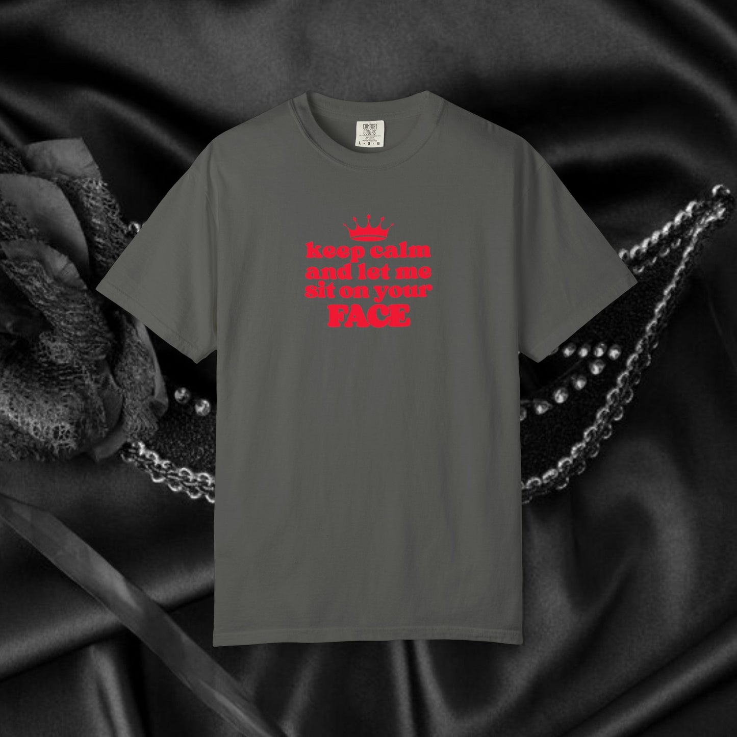 Naughty Face Sitting T-Shirt, Women's Sexy Tee, Inappropriate Party Shirt, Crude NSFW Summer Sexy Tee, Offensive Adult Dirty Humor Tee
