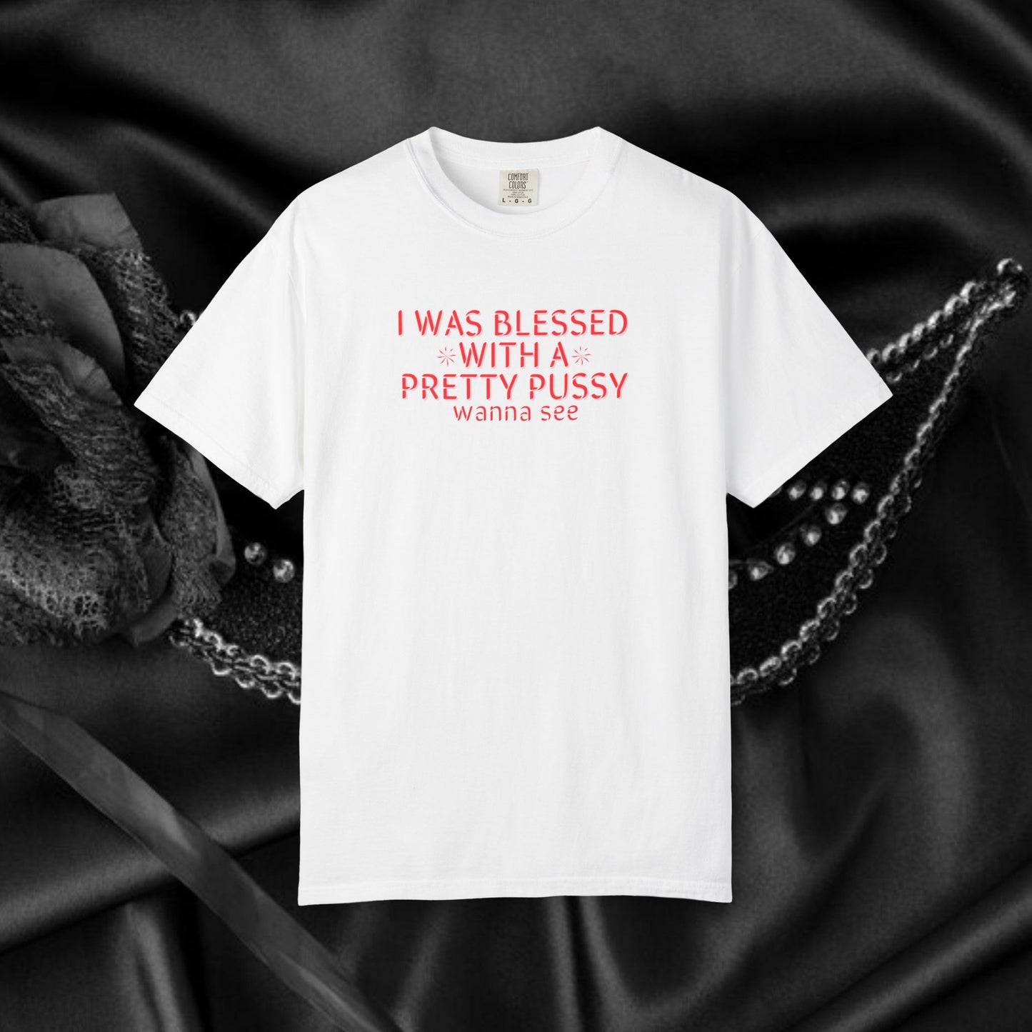I Was Blessed With a Pretty P*ssy T-Shirt – Naughty Girl P*ssy Power MILF Shirt, Adult Humor Party Tee