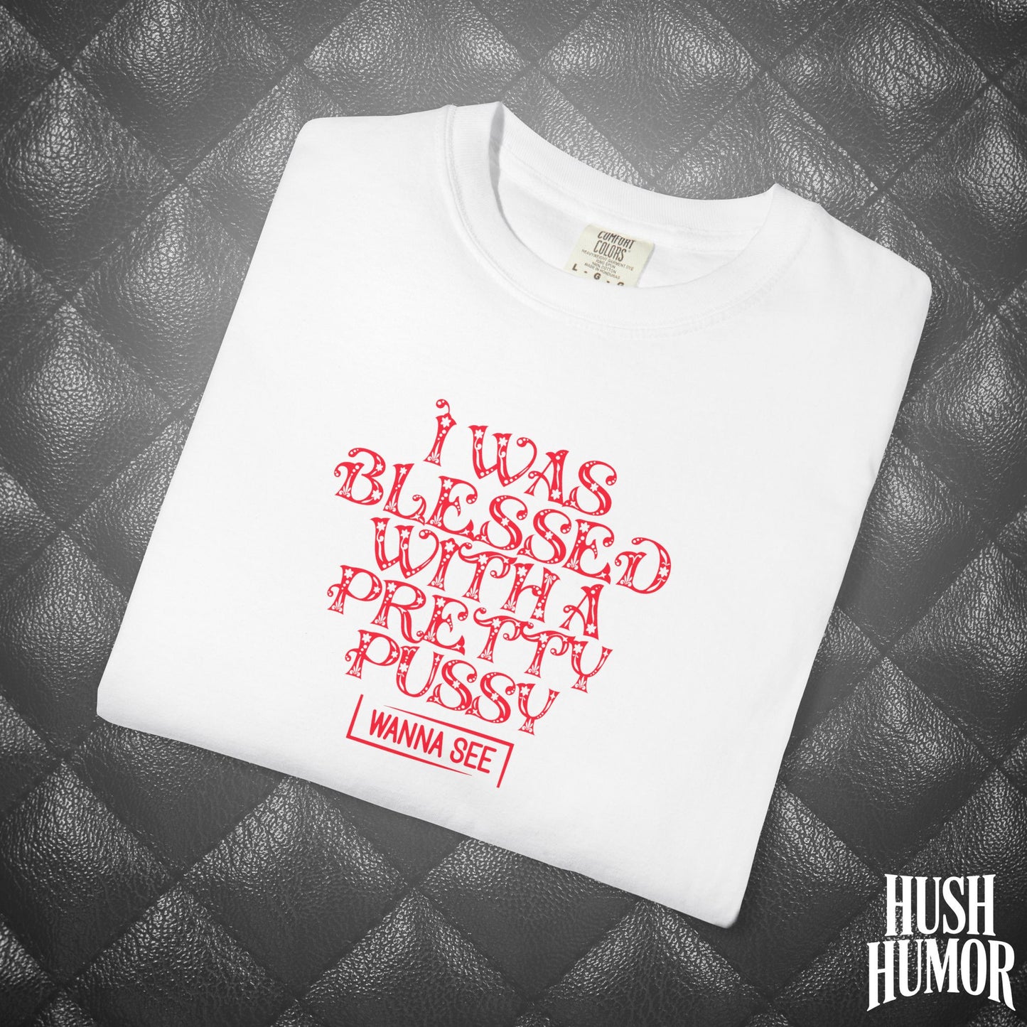 I Was Blessed with a Pretty Psssy Naughty T-Shirt – Girl Power FEMdom Shirt, Dirty MILF Gift, Hot Mom Graphic Tee, NSFW Summer Party Shirt