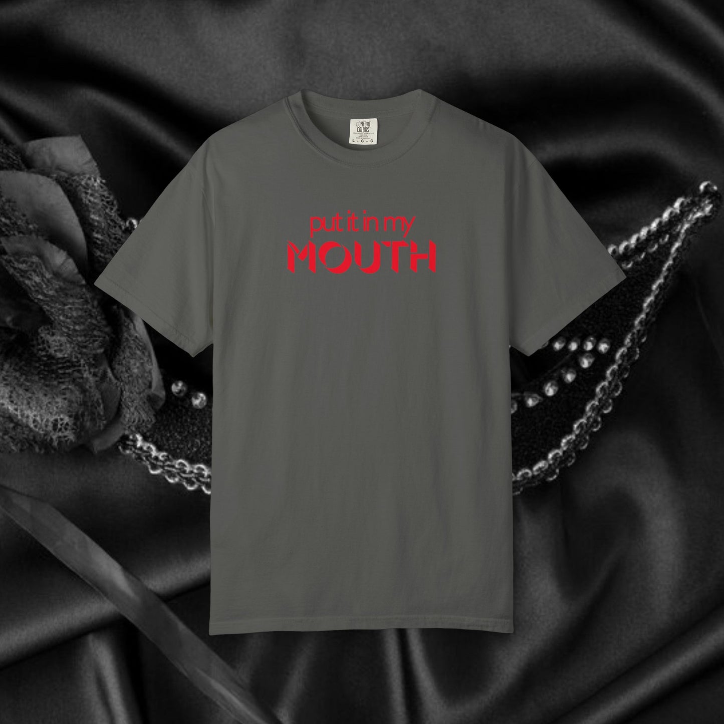 Put it in my mouth fun gift for your Hot Wife, dirty gifts for naughty girls, NSFW tee
