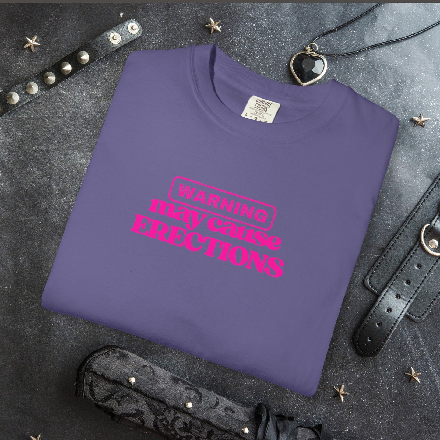 WARNING May Cause Erections Naughty Unisex T-Shirt – Inappropriate Comfort Colors Tee for Women