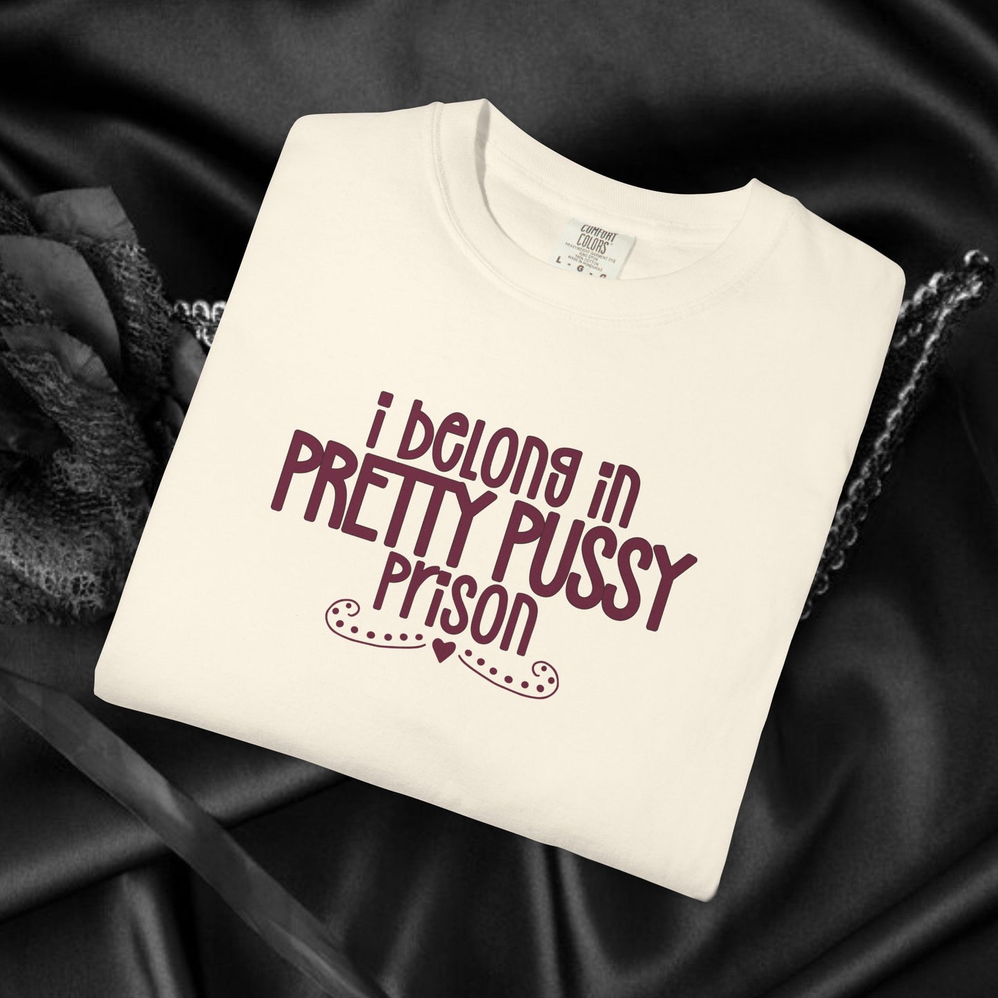 Pretty P*ssy Prison, Funny Adult T-shirt, Offensive Ladies Shirt, Unisex