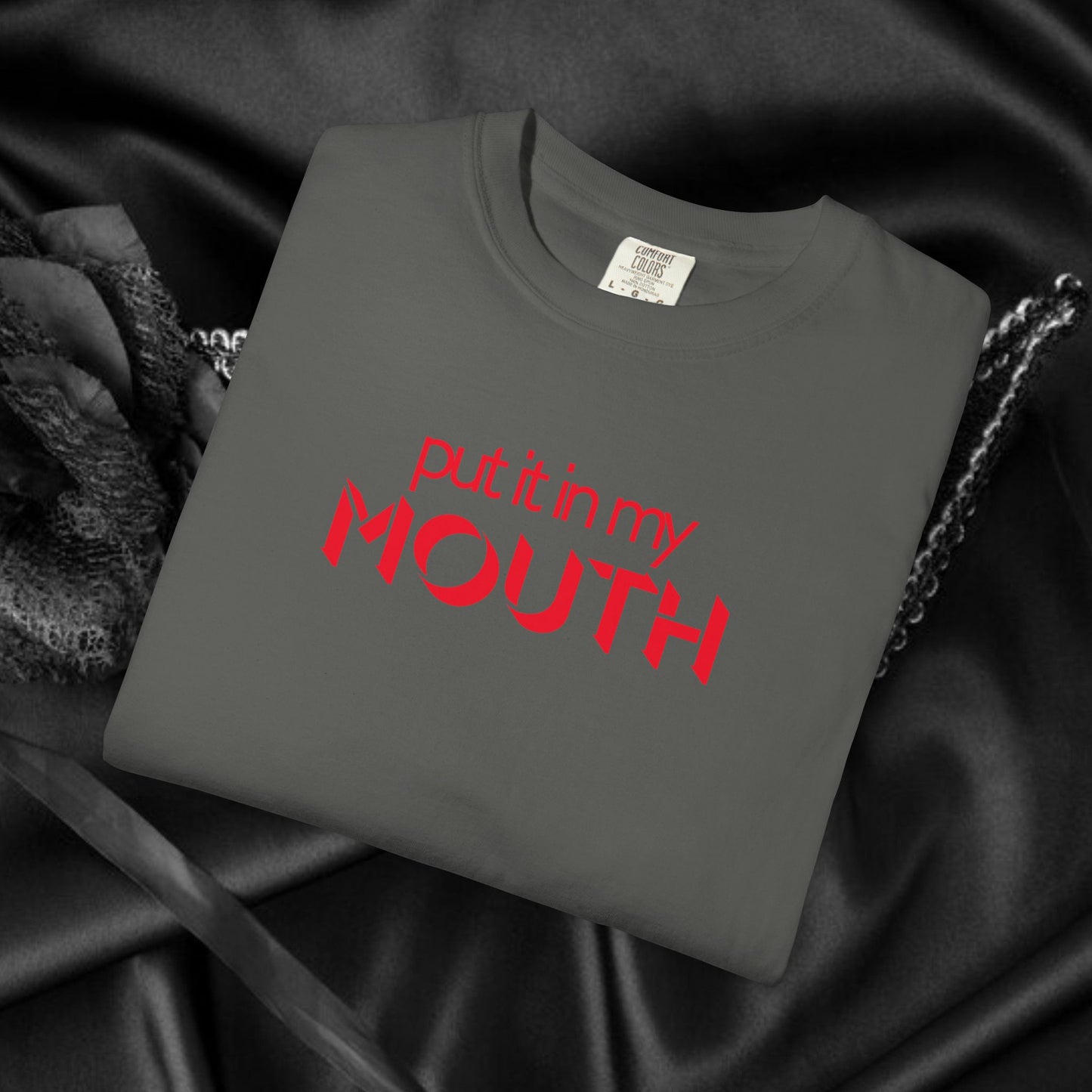 Put it in my mouth fun gift for your Hot Wife, dirty gifts for naughty girls, NSFW tee