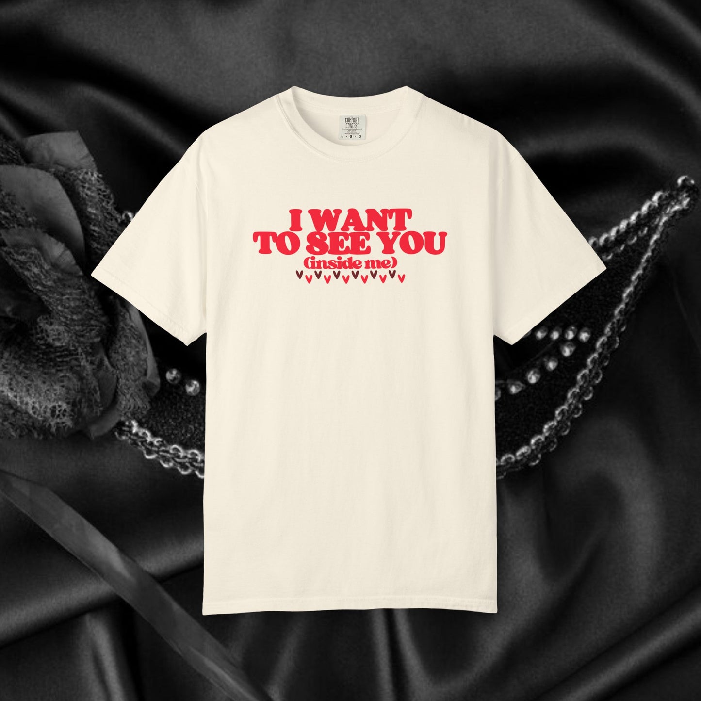 I Want to See You Inside Me, dirty apparel for naughty girls, Funny Saying tshirt NSFW Apparel