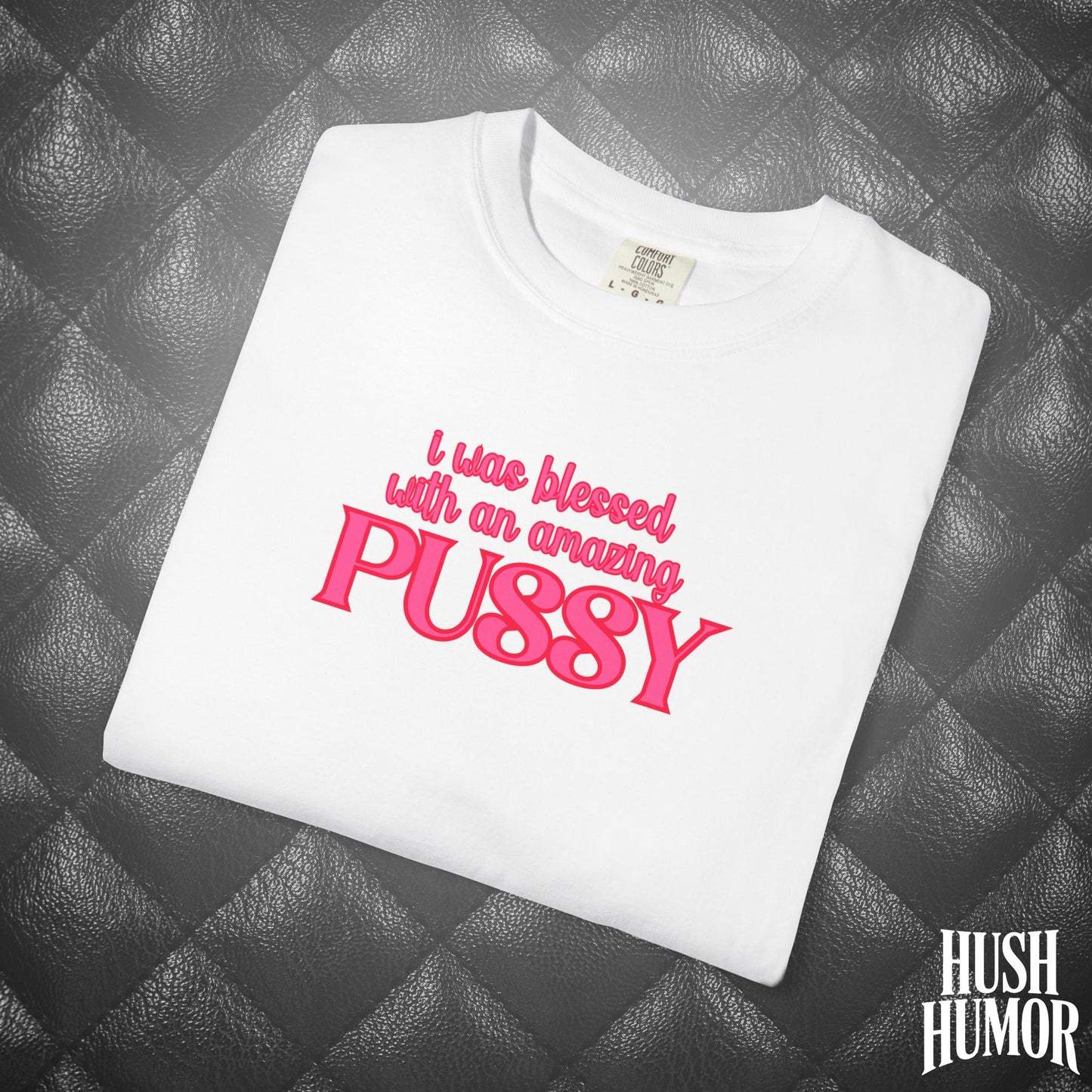 I Was Blessed With an Amazing Psssy Shirt – Funny NSFW T-Shirt for Naughty Wife