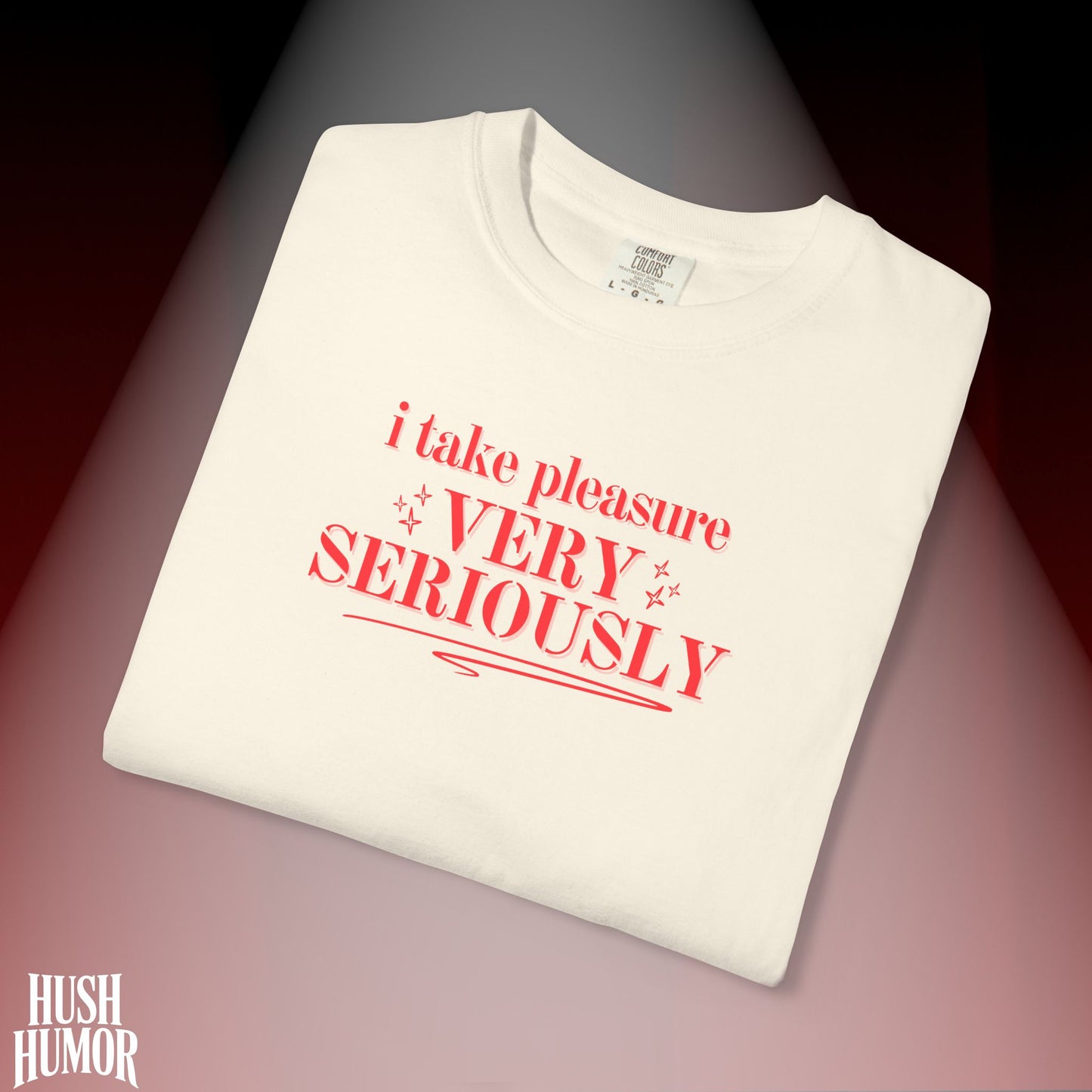 FEMdom T-Shirt | Naughty BDSM Lifestyle Tee | Sexy NSFW Pleasure Shirt | Offensive Shocking Gift for Hot Wife | Kinky Summer Party Top