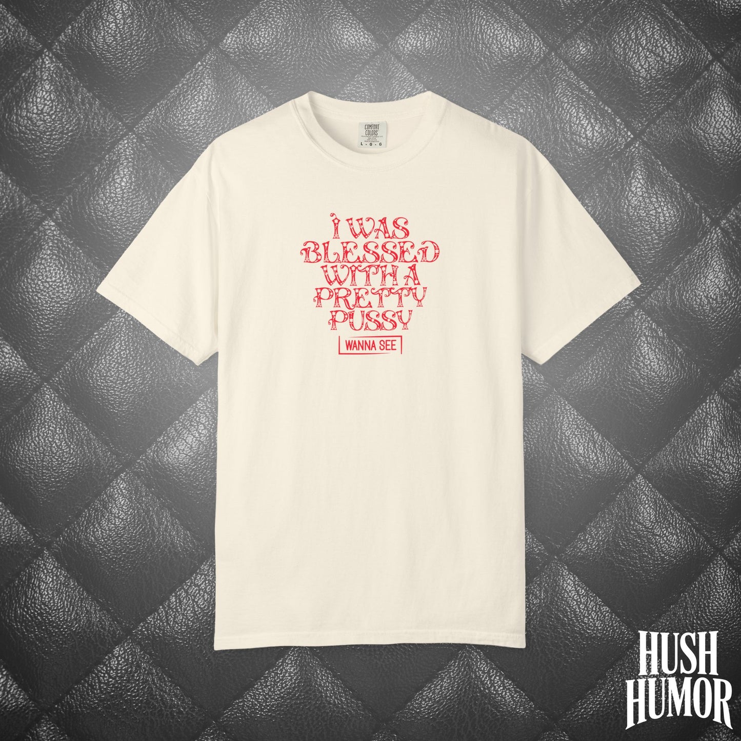 I Was Blessed with a Pretty Psssy Naughty T-Shirt – Girl Power FEMdom Shirt, Dirty MILF Gift, Hot Mom Graphic Tee, NSFW Summer Party Shirt