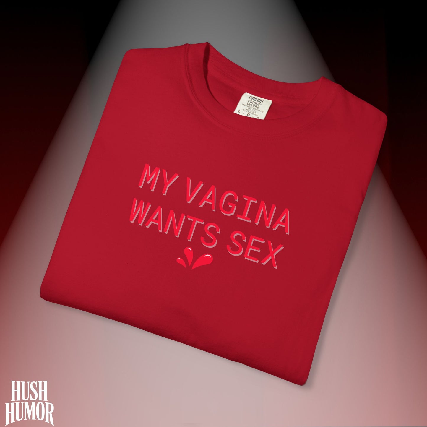 My Vagina Wants Sex Shirt – Funny NSFW T-Shirt for Hot Wife, Naughty Party Tee