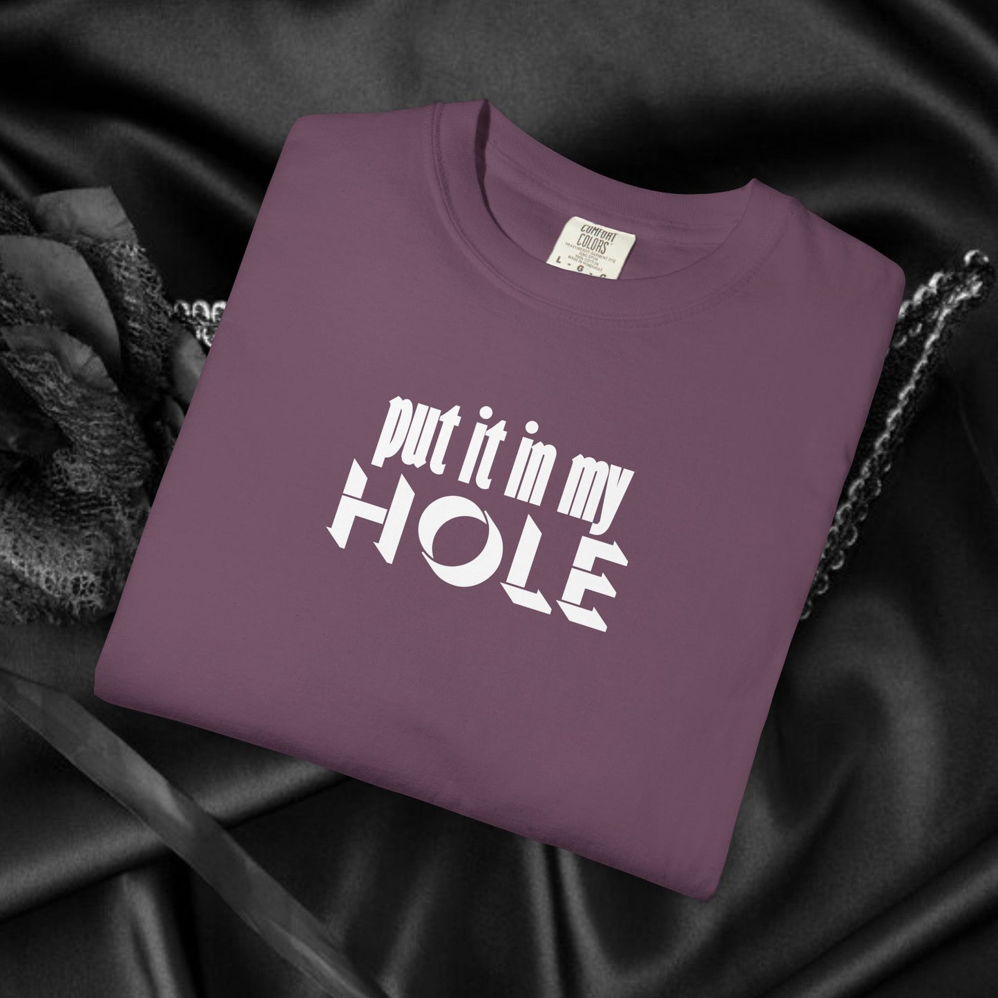 Put it in My Hole provacative ladies tshirt, shocking apparel, gag gift for women