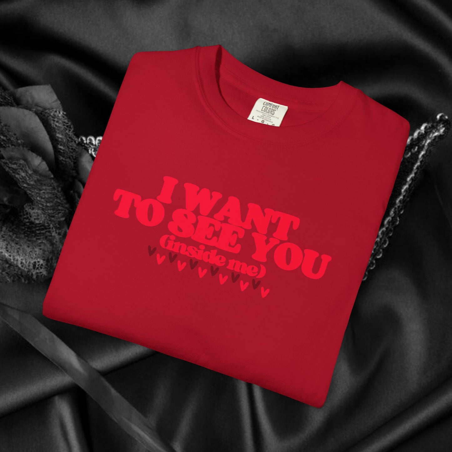 I Want to See You Inside Me, dirty apparel for naughty girls, Funny Saying tshirt NSFW Apparel