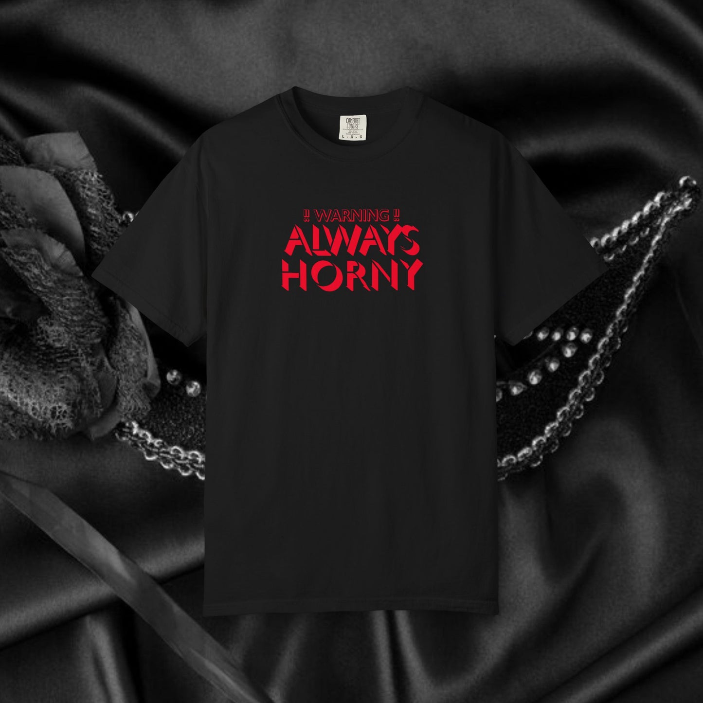 Naughty Shirt Women's Tshirt, Sexy Saying Tee, Inappropriate Ladies Comfort Colors, Funny Mature Apparel, Offensive Wife Gift, Horny Joke