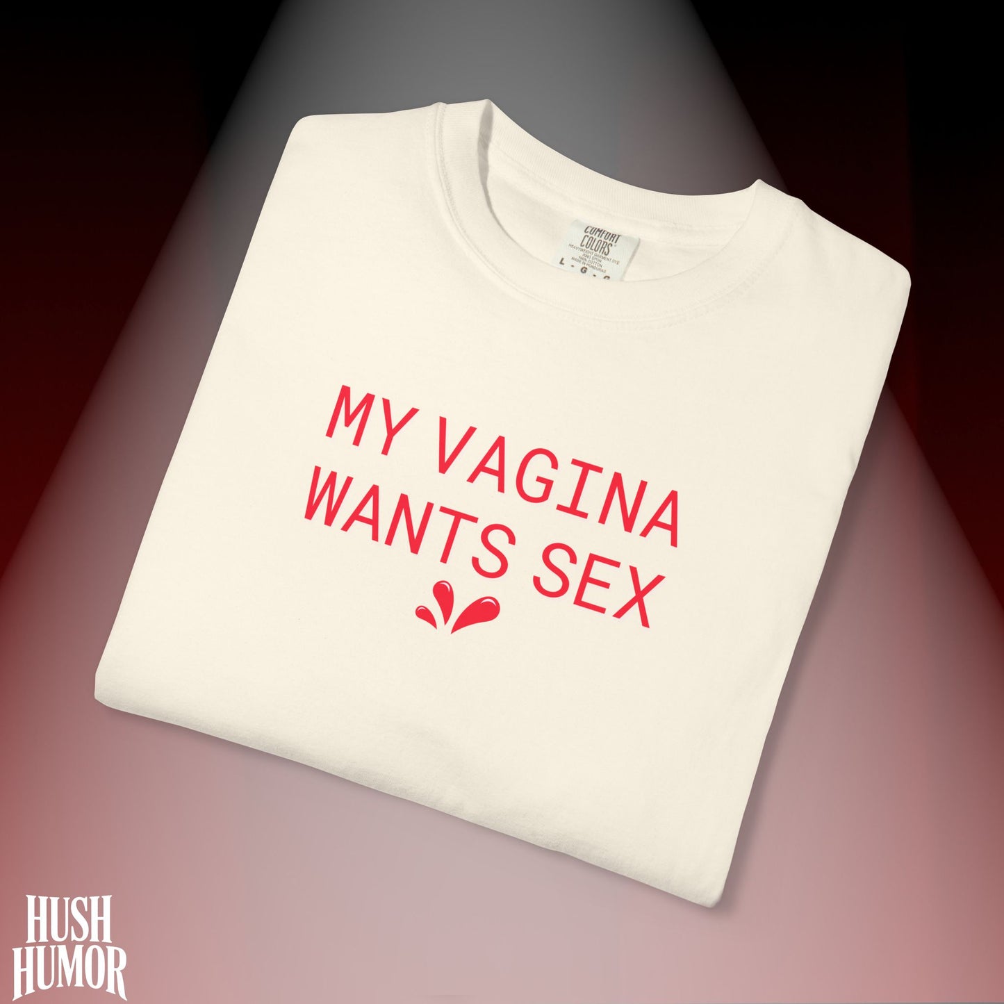 My Vagina Wants Sex Shirt – Funny NSFW T-Shirt for Hot Wife, Naughty Party Tee