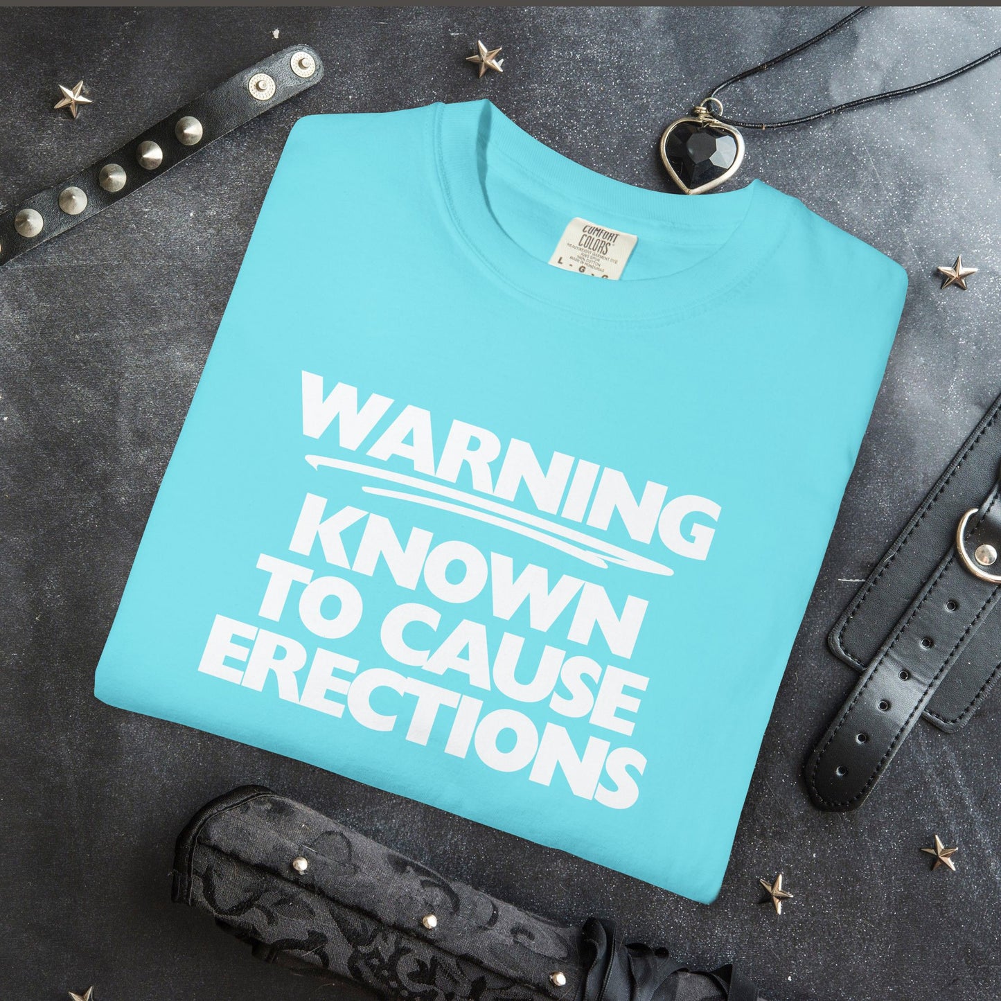 Naughty Shirt – WARNING Known to Cause Erections Adult Garment-Dyed Comfort Colors Tee