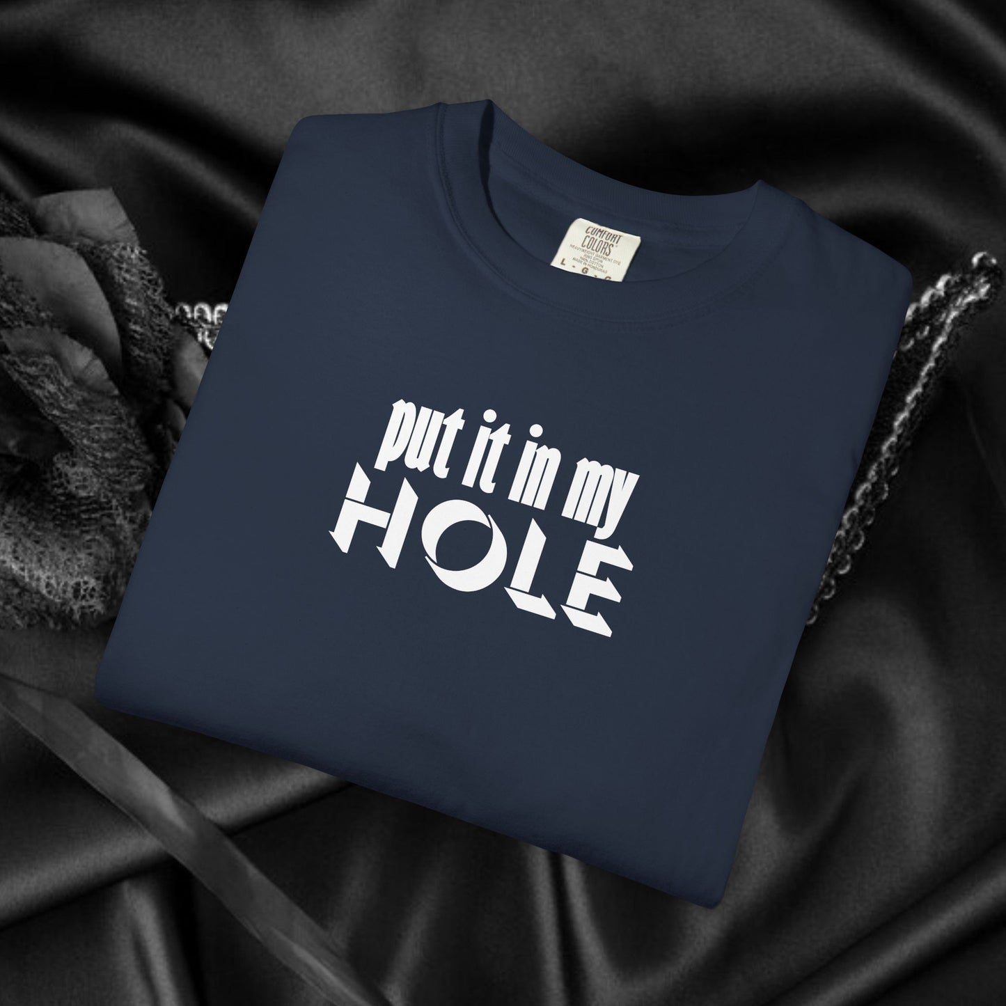 Put it in My Hole provacative ladies tshirt, shocking apparel, gag gift for women