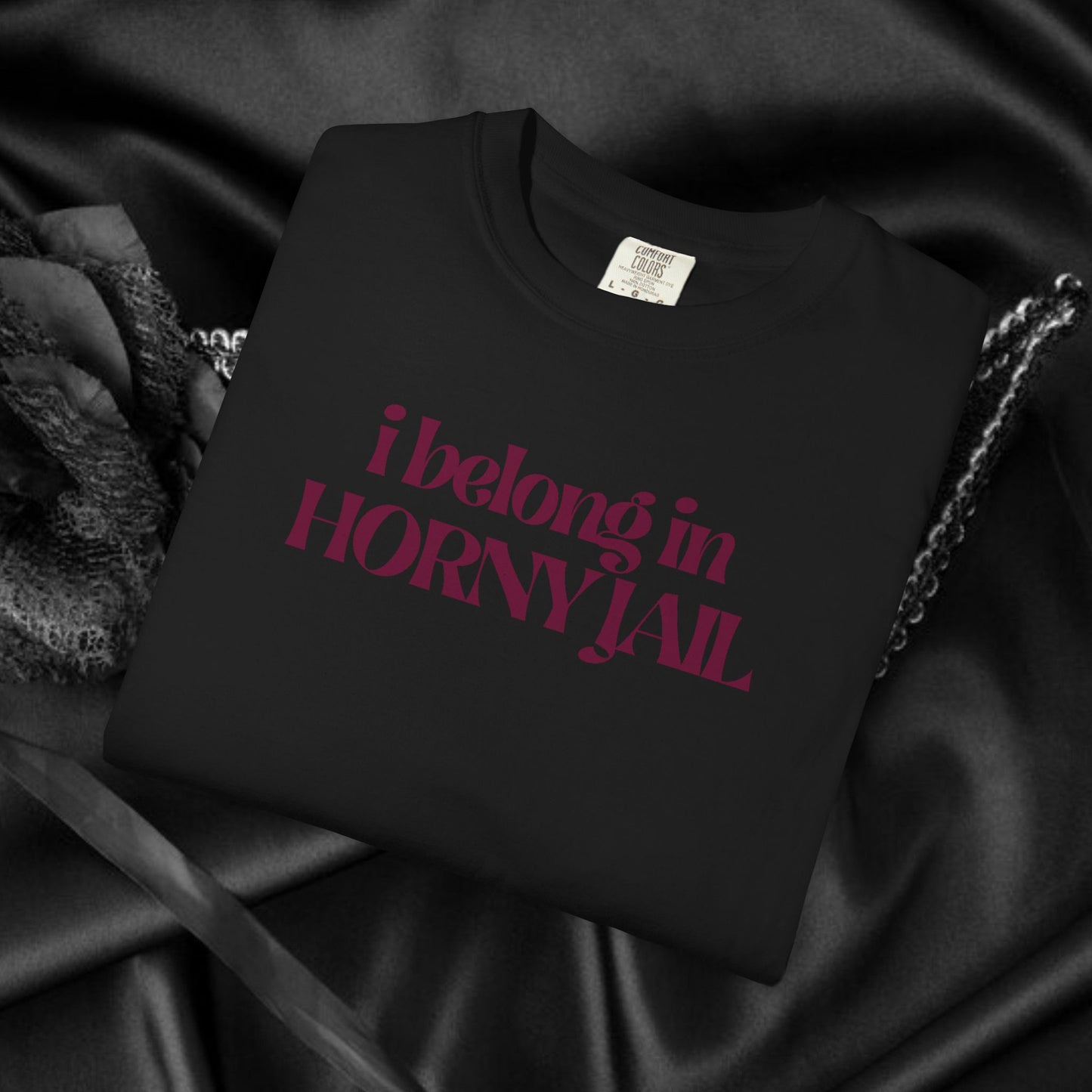 I Belong in Horny Jail, Fun Adult Gift, Inappropriate Offensive Ladies tshirt