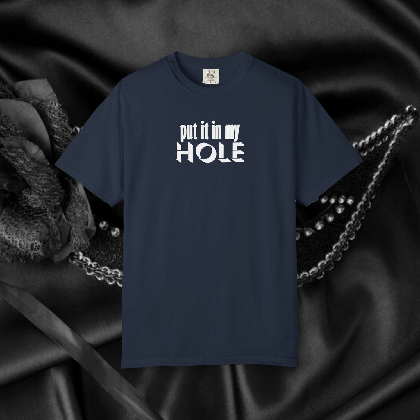 Put it in My Hole provacative ladies tshirt, shocking apparel, gag gift for women