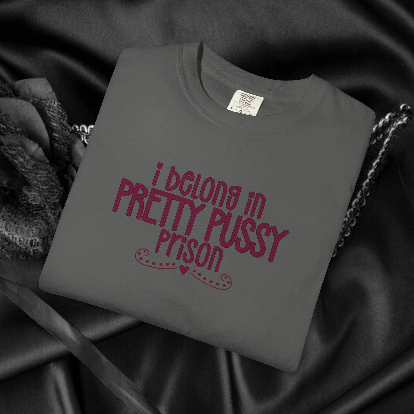 Pretty P*ssy Prison, Funny Adult T-shirt, Offensive Ladies Shirt, Unisex