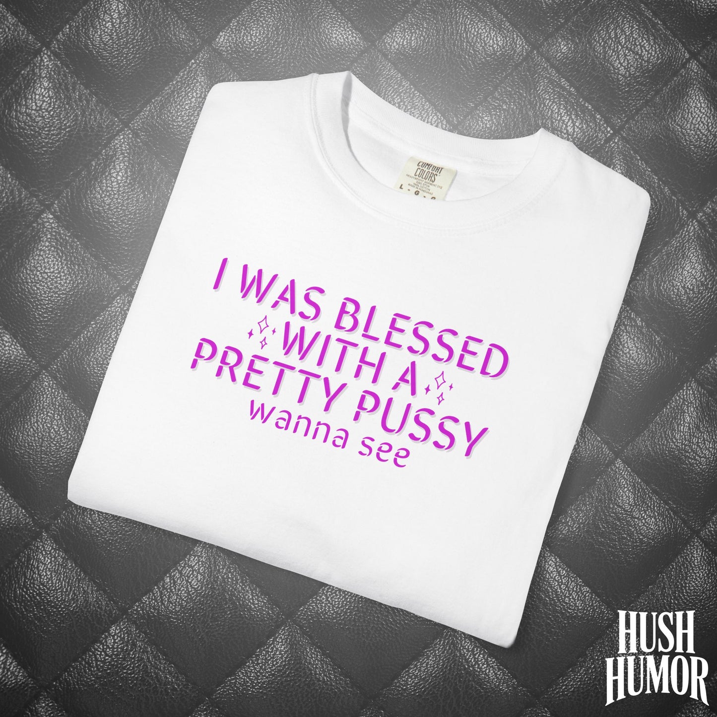 I Was Blessed With a Pretty Psssy T-Shirt – Naughty Girl Power Shirt, Dirty Wife Tee, Kink Shirt
