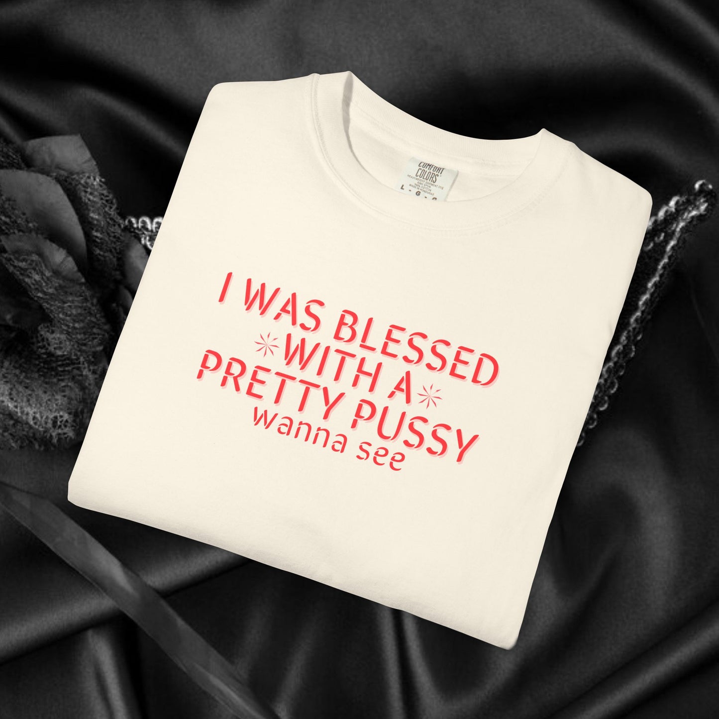 I Was Blessed With a Pretty P*ssy T-Shirt – Naughty Girl P*ssy Power MILF Shirt, Adult Humor Party Tee