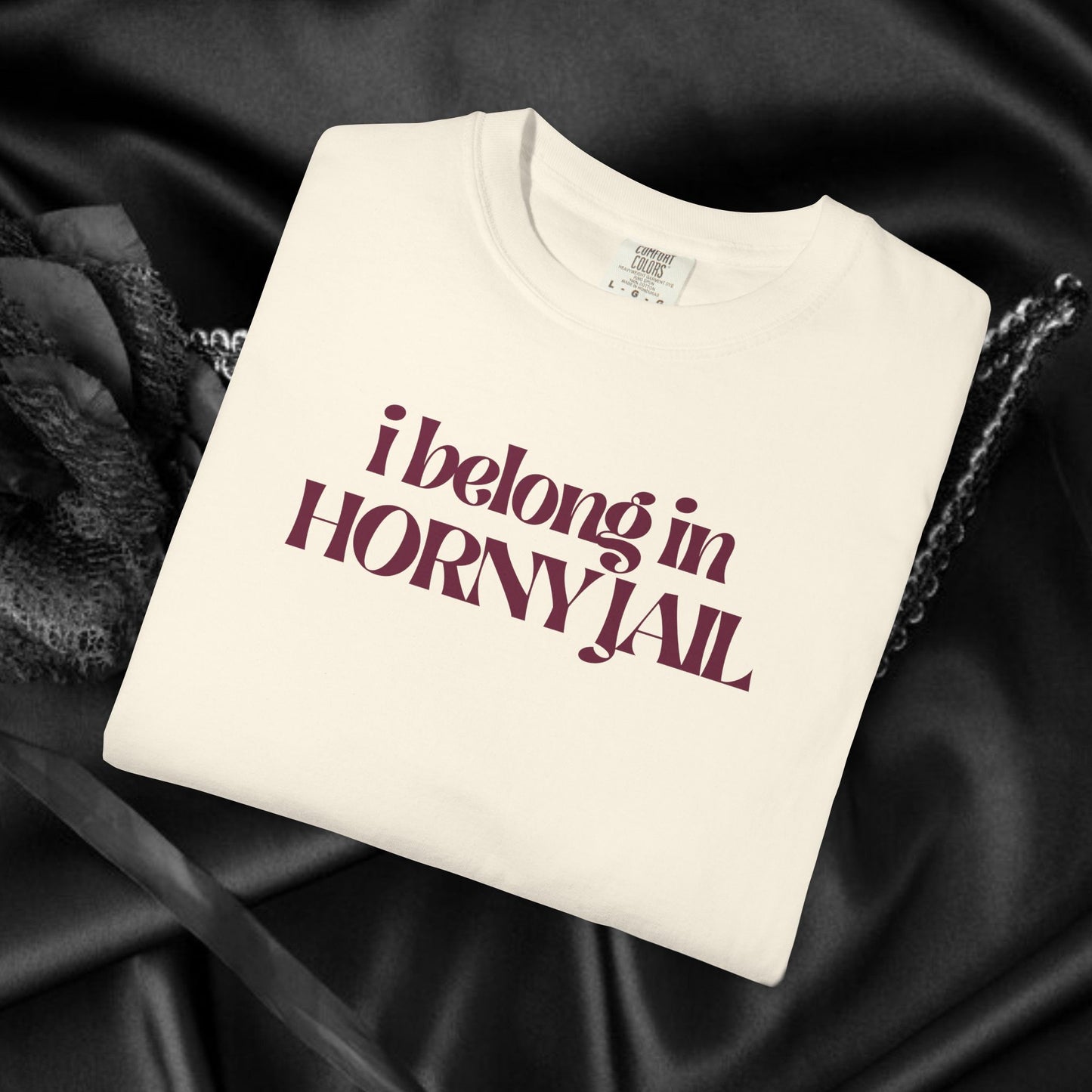 I Belong in Horny Jail, Fun Adult Gift, Inappropriate Offensive Ladies tshirt