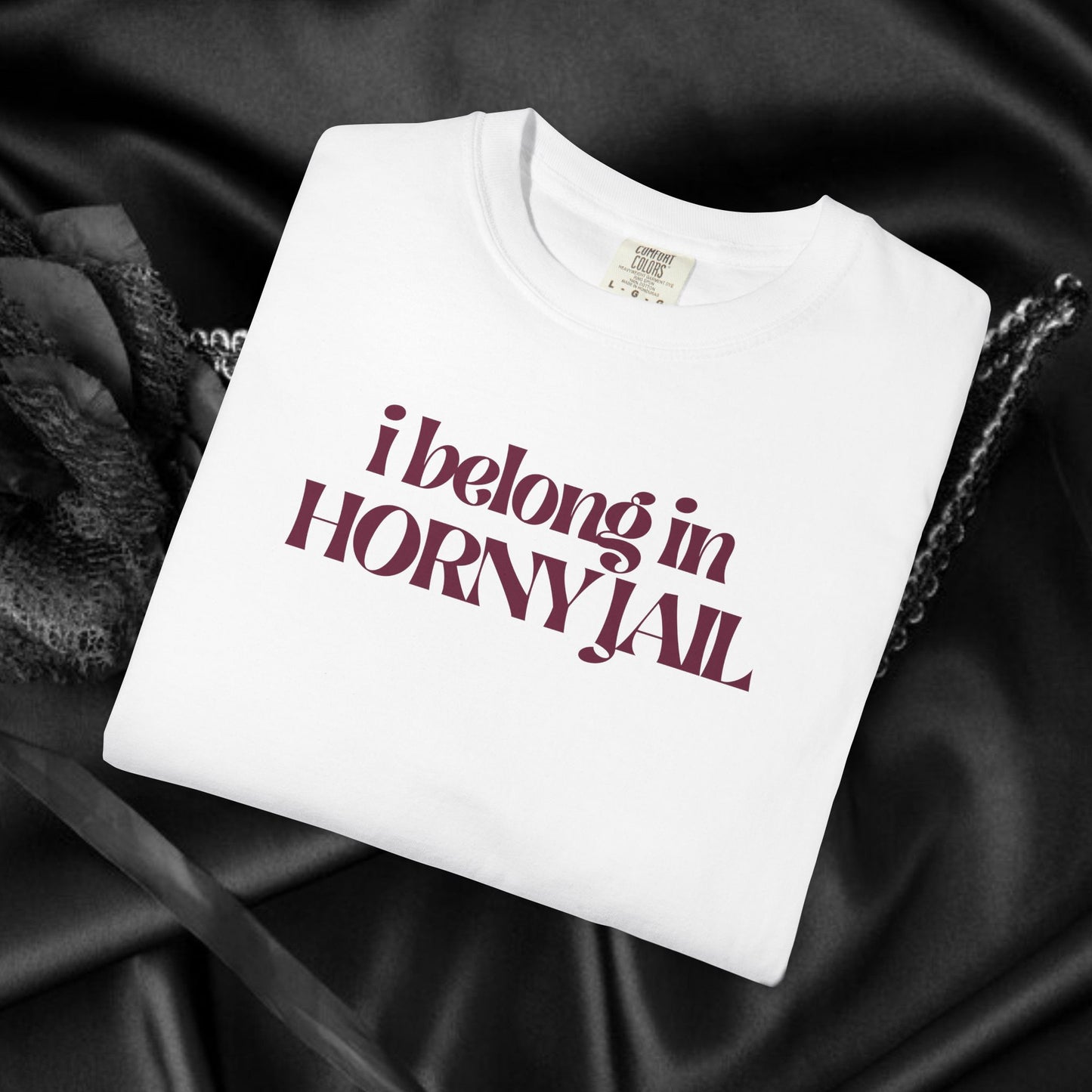 I Belong in Horny Jail, Fun Adult Gift, Inappropriate Offensive Ladies tshirt