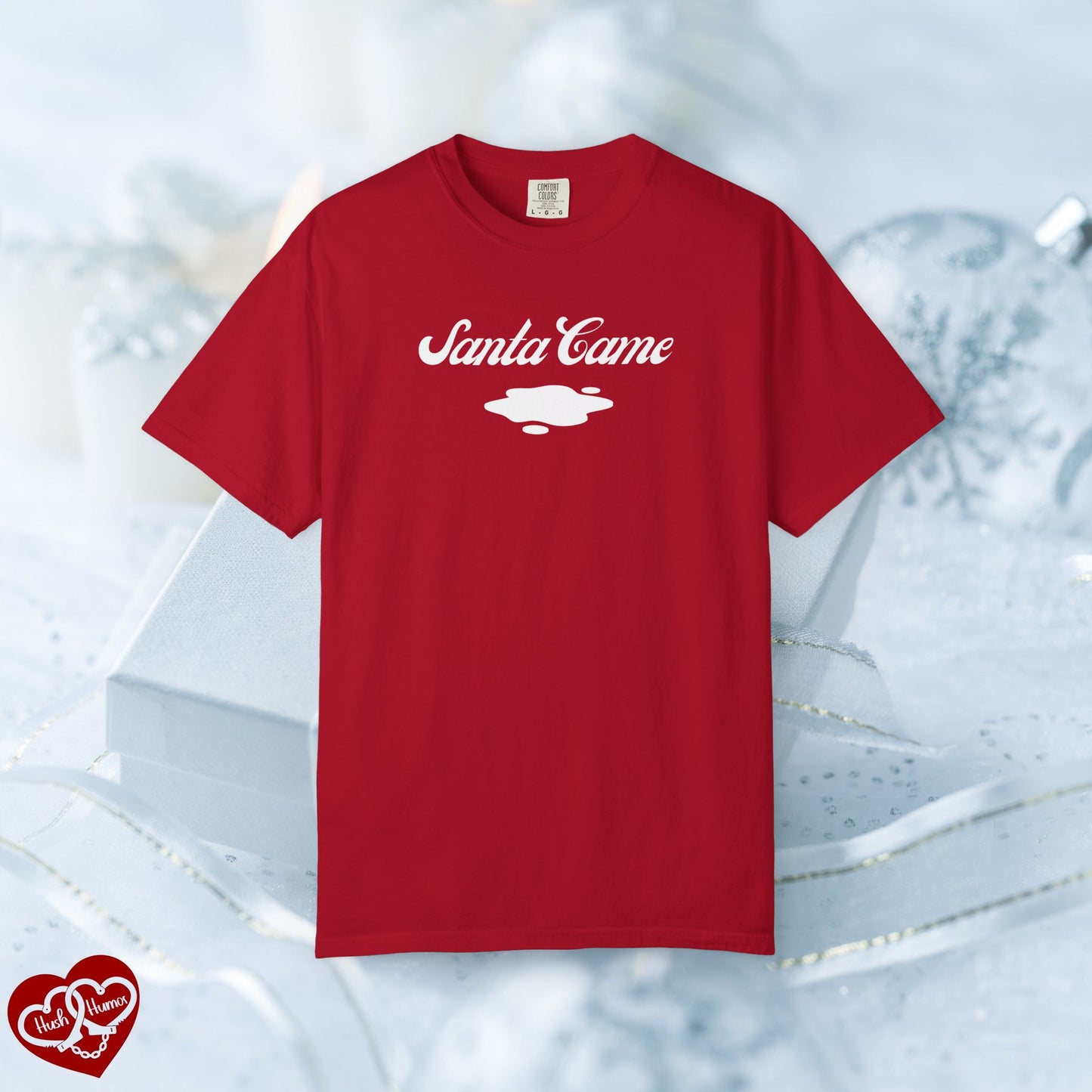 Naughty Santa Came T-shirt Funny Adult Gift, Offensive Holiday Shirt, Dirty Christmas Tee, Crude NSFW Apparel