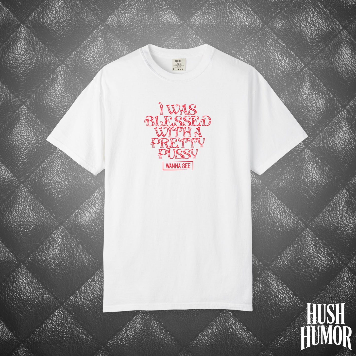 I Was Blessed with a Pretty Psssy Naughty T-Shirt – Girl Power FEMdom Shirt, Dirty MILF Gift, Hot Mom Graphic Tee, NSFW Summer Party Shirt