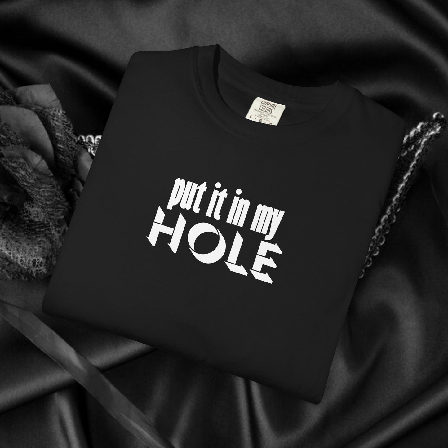 Put it in My Hole provacative ladies tshirt, shocking apparel, gag gift for women