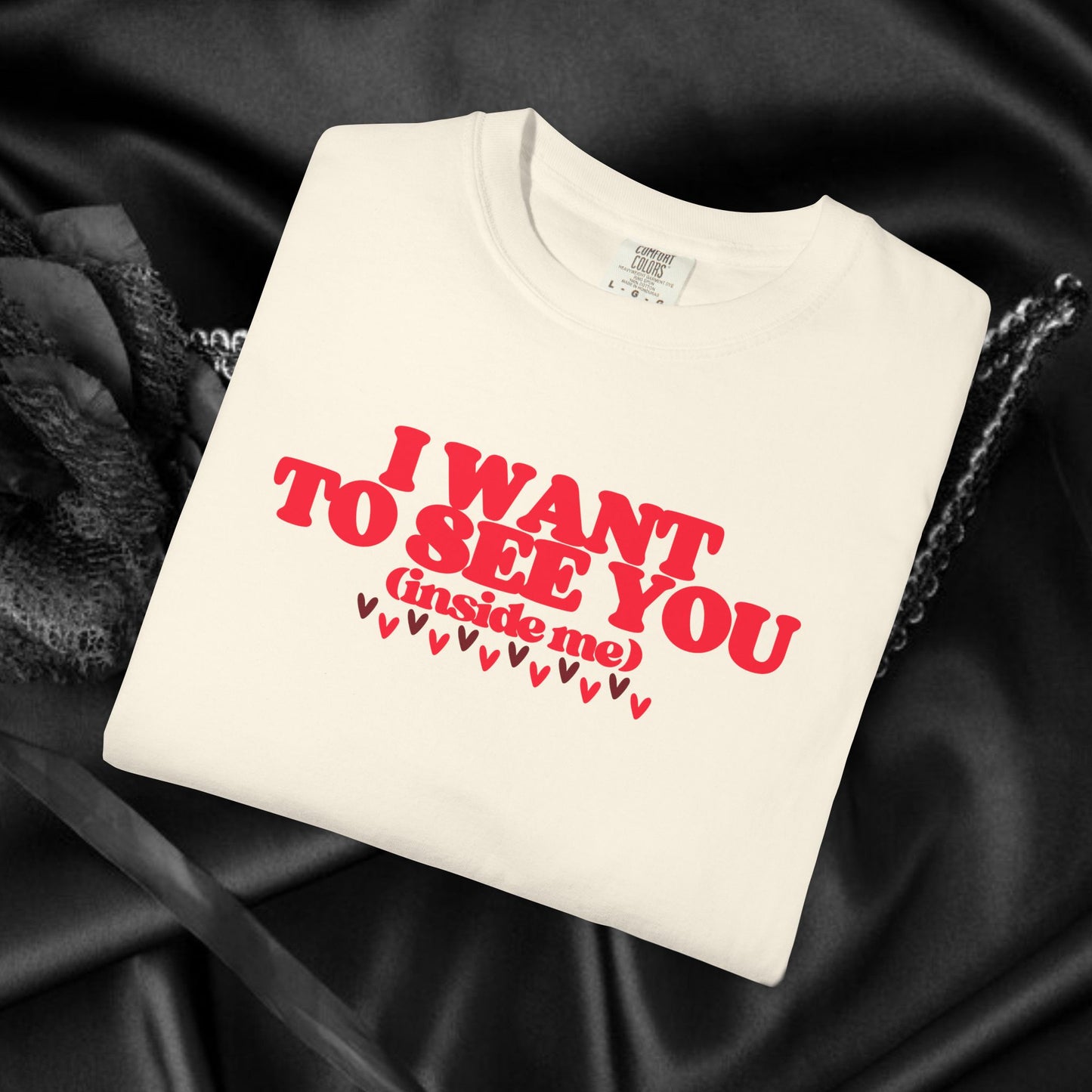 I Want to See You Inside Me, dirty apparel for naughty girls, Funny Saying tshirt NSFW Apparel