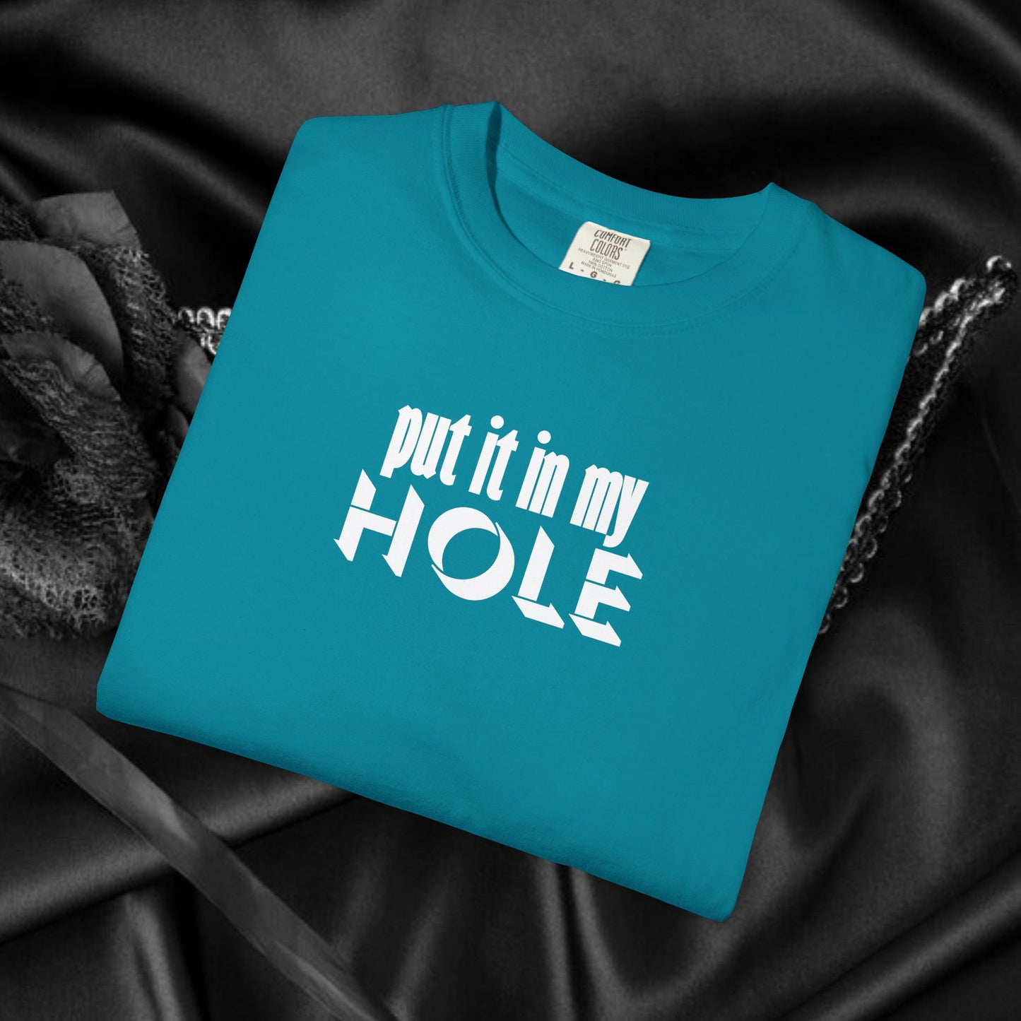 Put it in My Hole provacative ladies tshirt, shocking apparel, gag gift for women