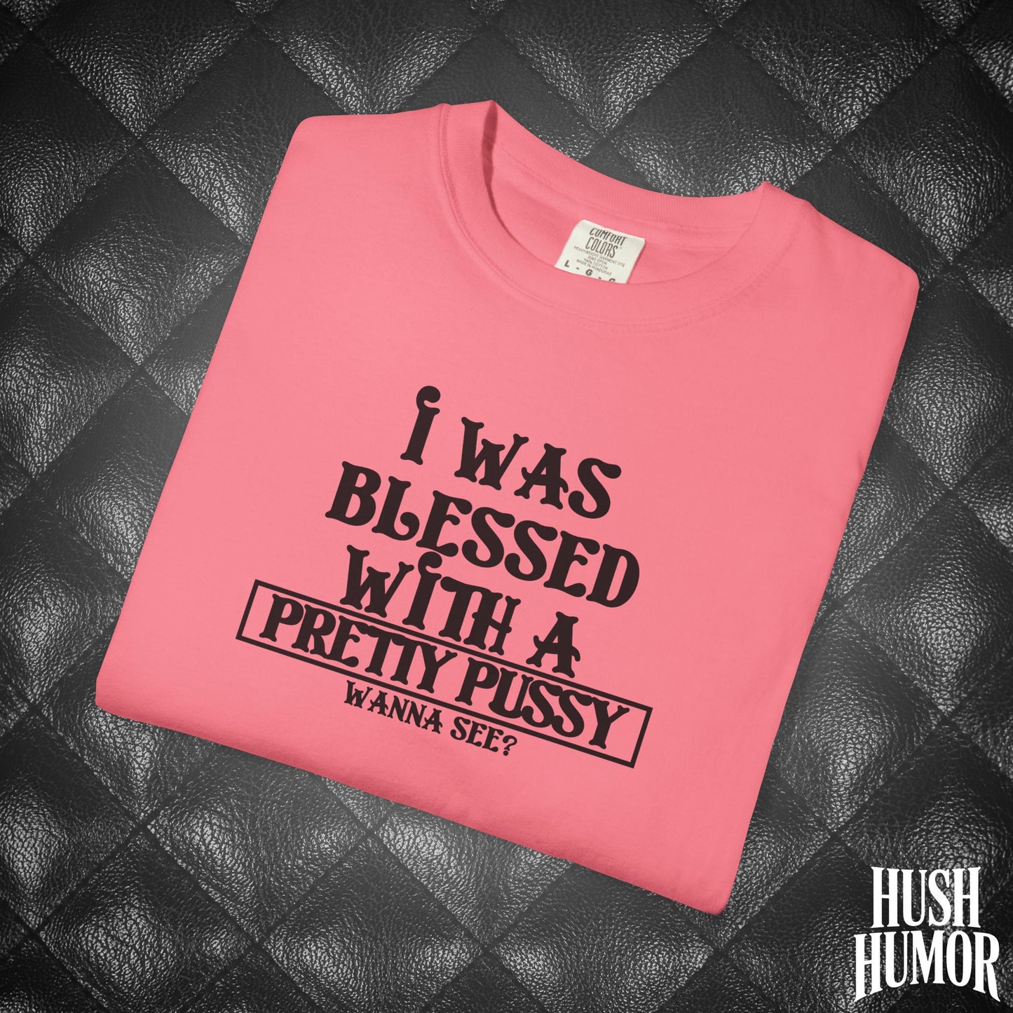 I Was Blessed With a Pretty Psssy Shirt – Naughty FEMdom BDSM Dom Sub Tee for Wife