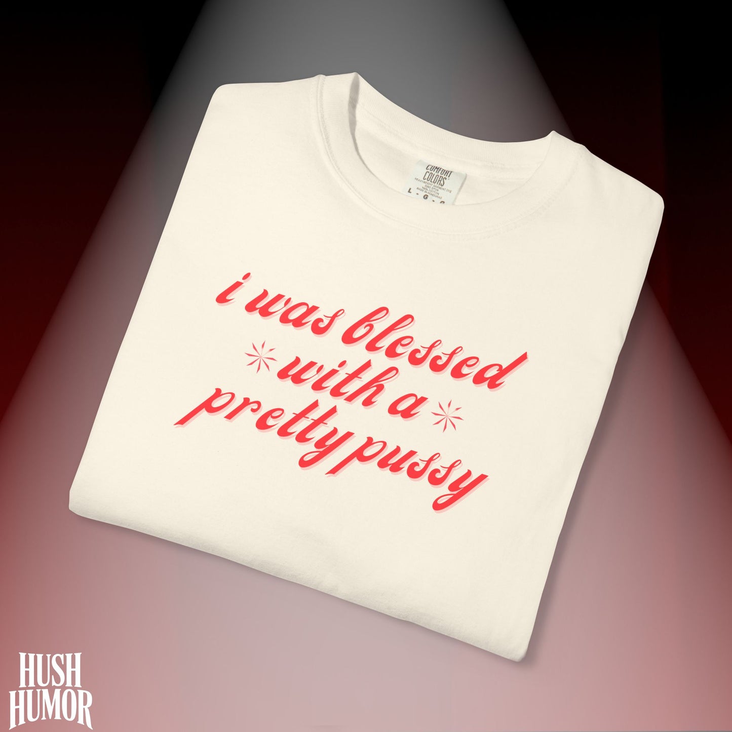 I Was Blessed With a Pretty Psssy T-Shirt Dirty MILF BDSM Dom/Sub Graphic Shirt