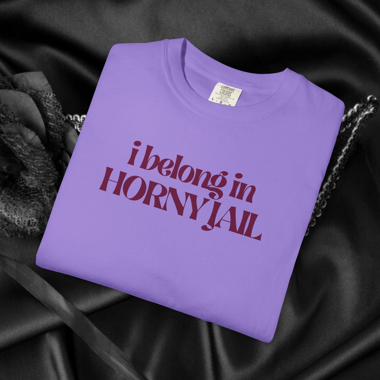 I Belong in Horny Jail, Fun Adult Gift, Inappropriate Offensive Ladies tshirt