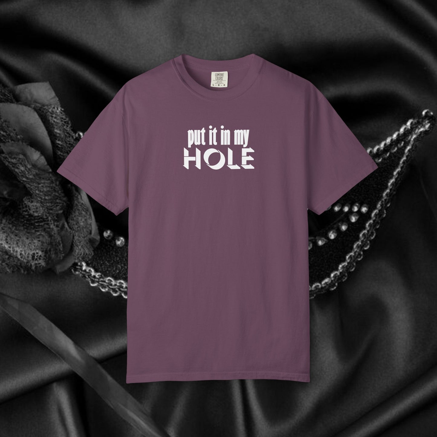 Put it in My Hole provacative ladies tshirt, shocking apparel, gag gift for women
