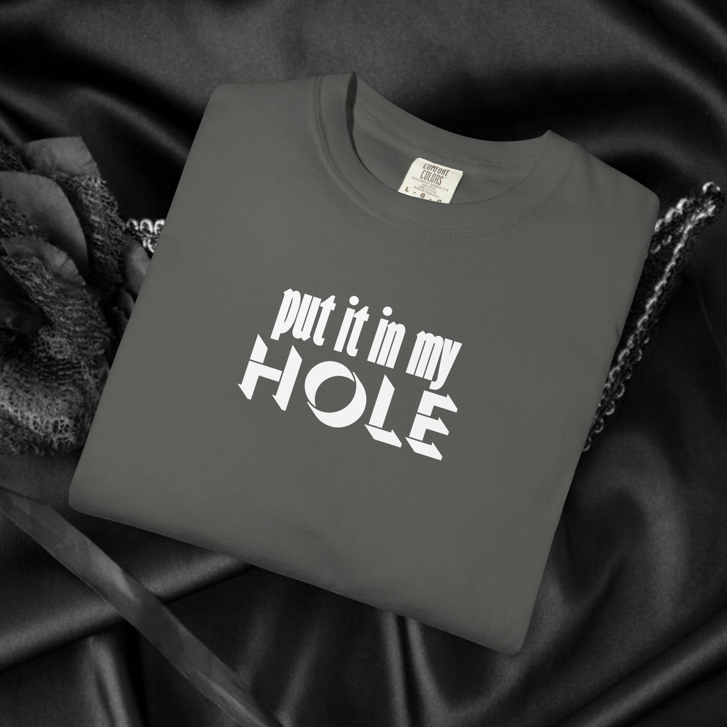 Put it in My Hole provacative ladies tshirt, shocking apparel, gag gift for women