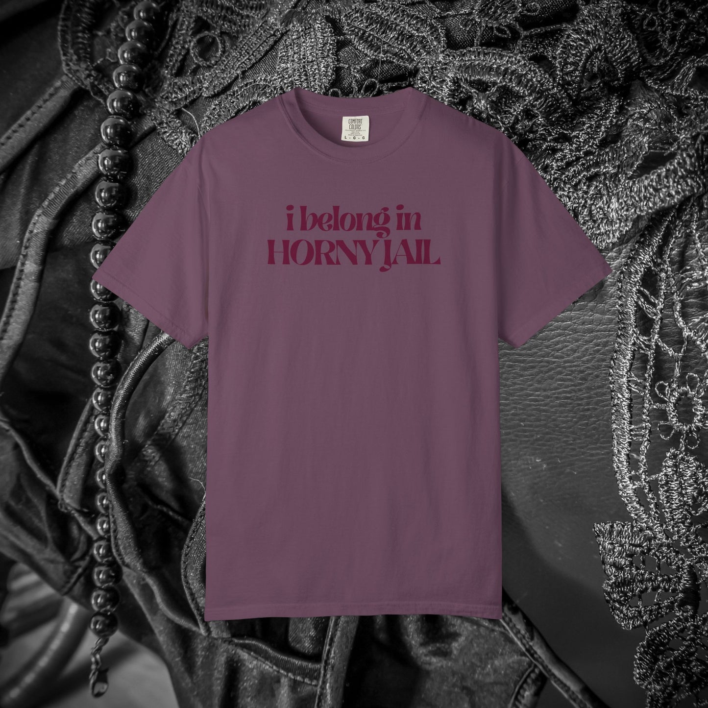 I Belong in Horny Jail, Fun Adult Gift, Inappropriate Offensive Ladies tshirt