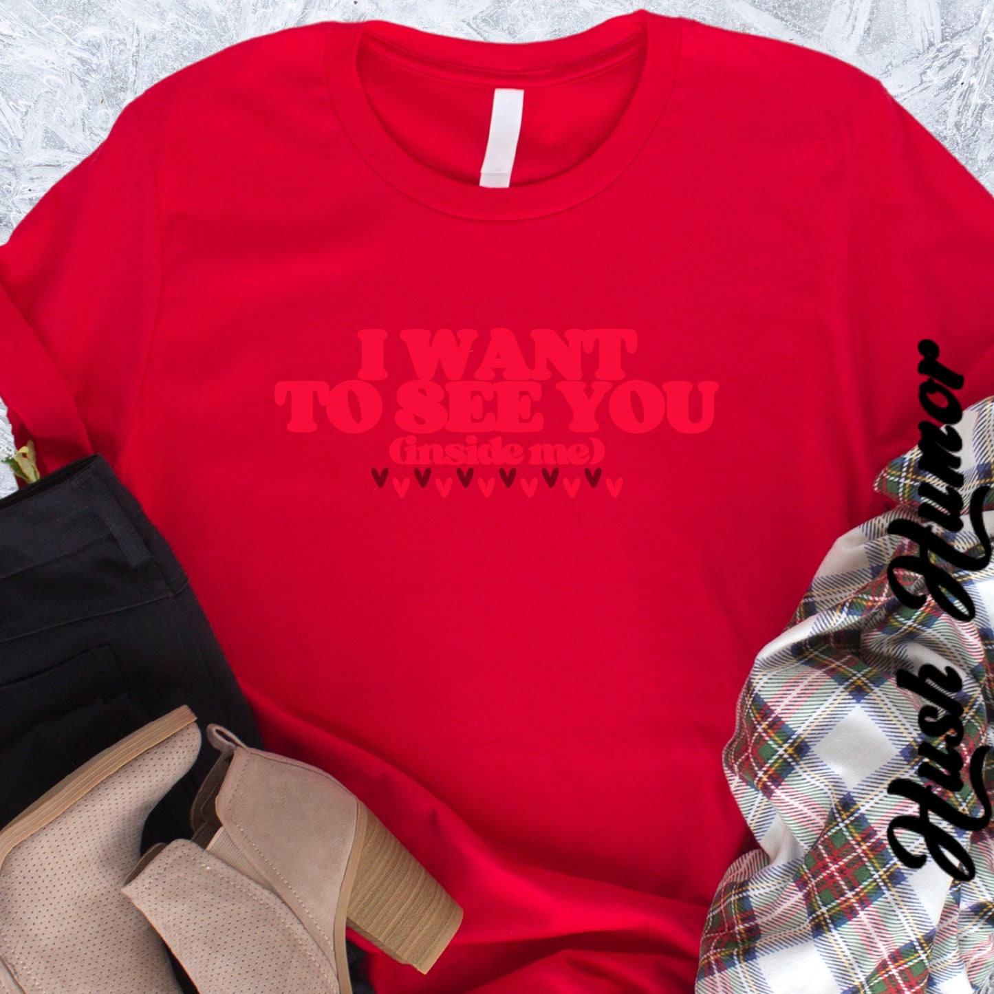 I Want to See You Inside Me, dirty apparel for naughty girls, Funny Saying tshirt NSFW Apparel